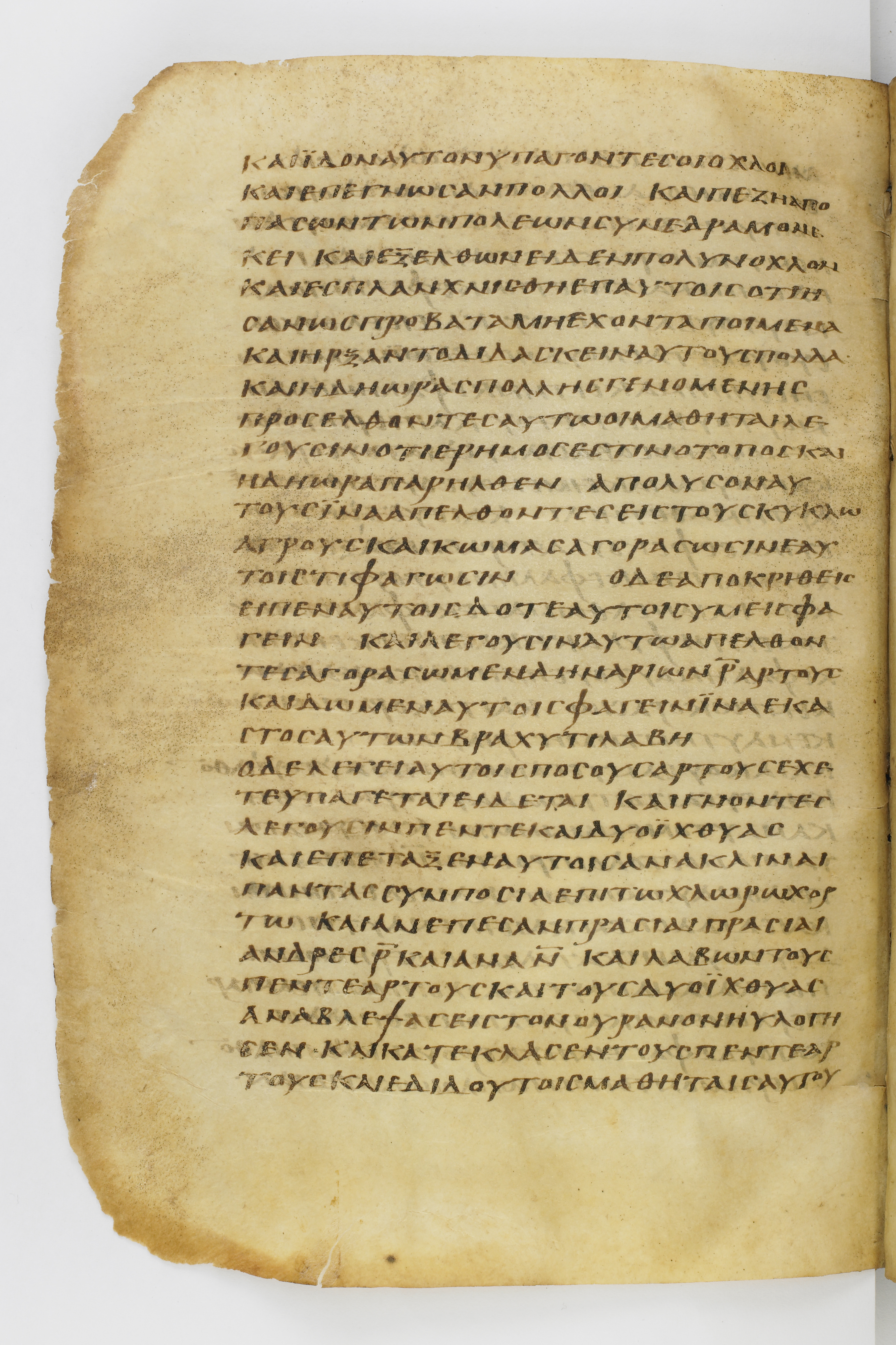 Codex Washingtonianus showing Mark 6:39 from Late 4th to 5th Century found in Egypt (possibly near the Pyramids), currently housed at Freer Gallery of Art, Smithsonian Institution, Washington, D.C.