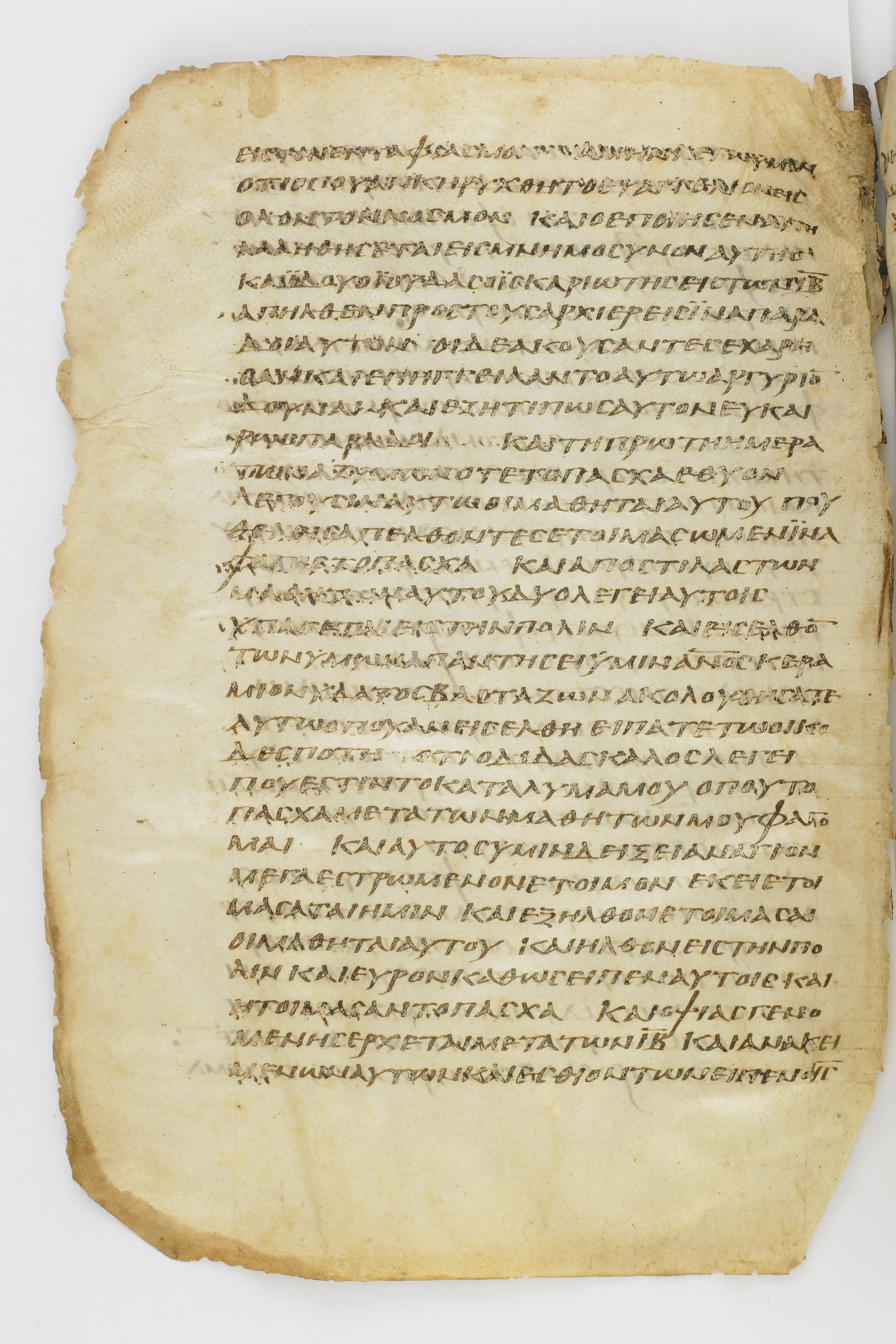 Codex Washingtonianus (Scan 2) showing Mark 14:8 from Late 4th to 5th Century found in Egypt (possibly near the Pyramids), currently housed at Freer Gallery of Art, Smithsonian Institution, Washington, D.C.