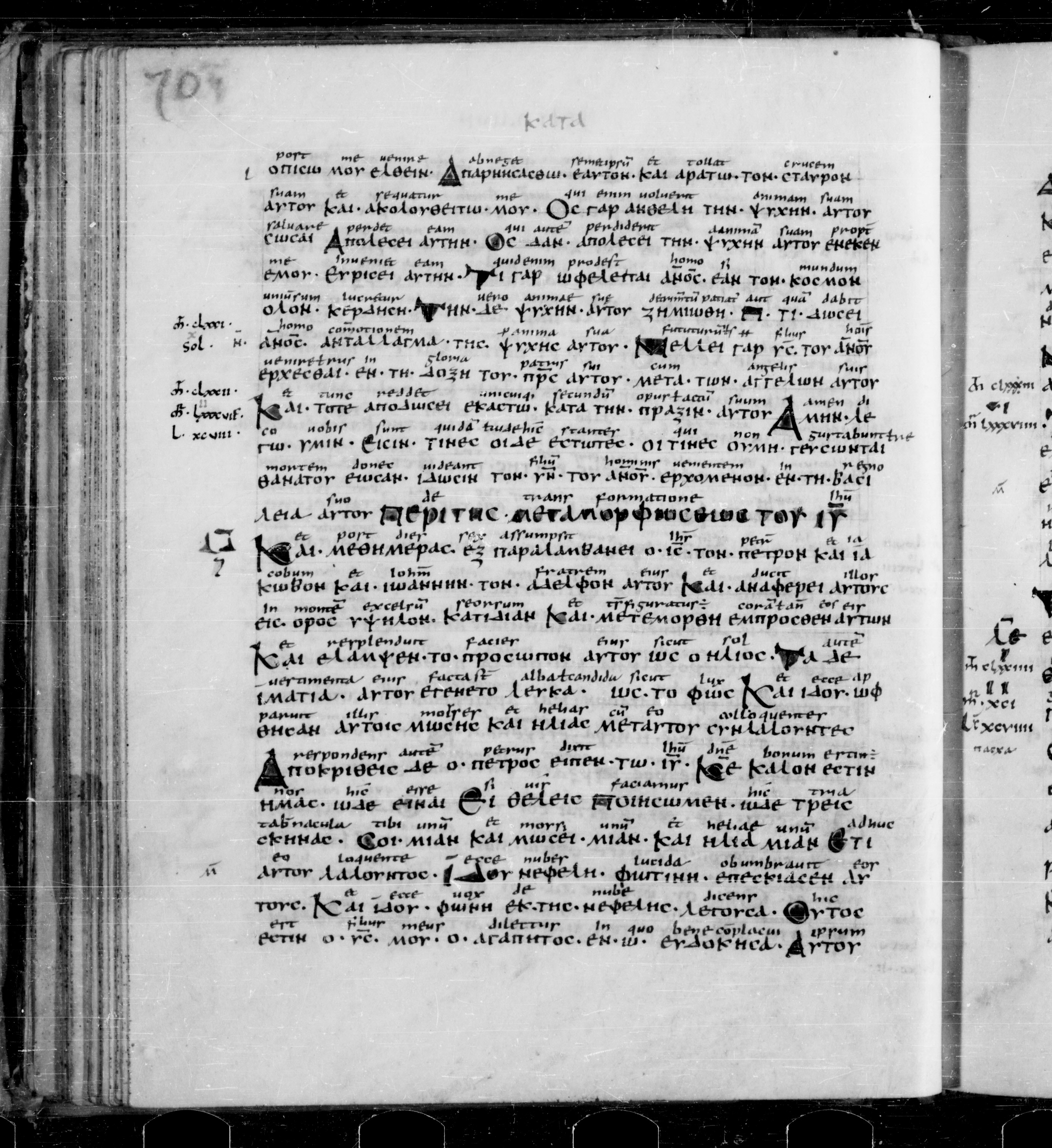 Codex Sangallensis 48 showing Matthew 17:2 from 9th Century, currently housed at Abbey library of Saint Gall, St. Gallen, Switzerland
