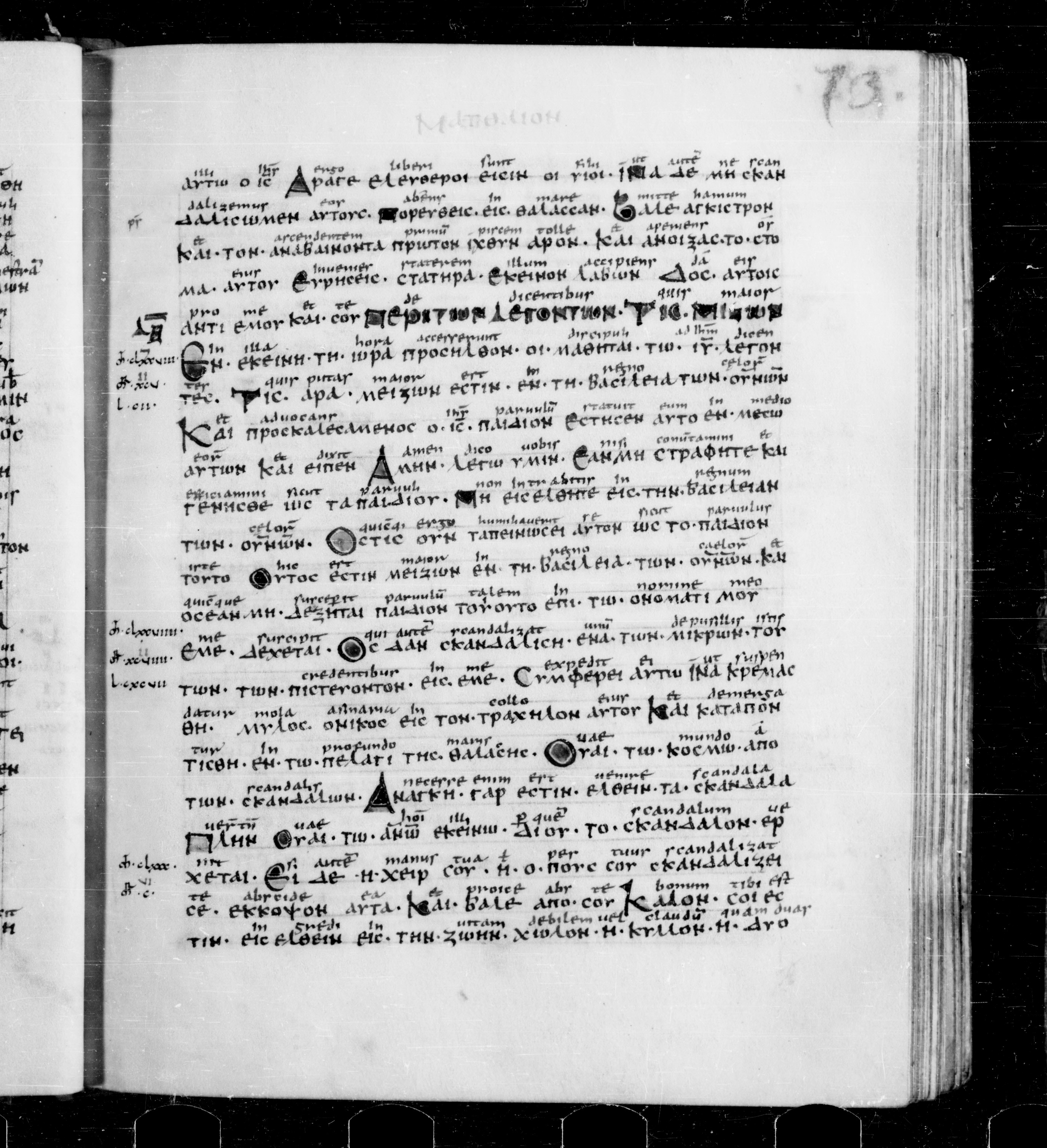 Codex Sangallensis 48 showing Matthew 18:2 from 9th Century, currently housed at Abbey library of Saint Gall, St. Gallen, Switzerland