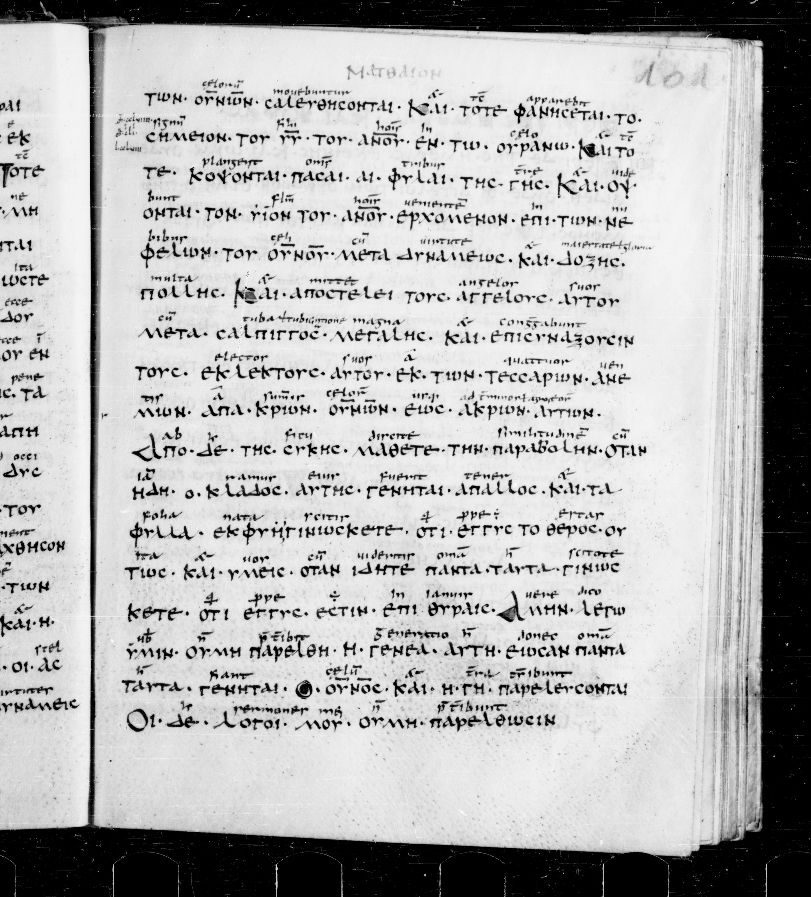 Codex Sangallensis 48 showing Matthew 24:32 from 9th Century, currently housed at Abbey library of Saint Gall, St. Gallen, Switzerland