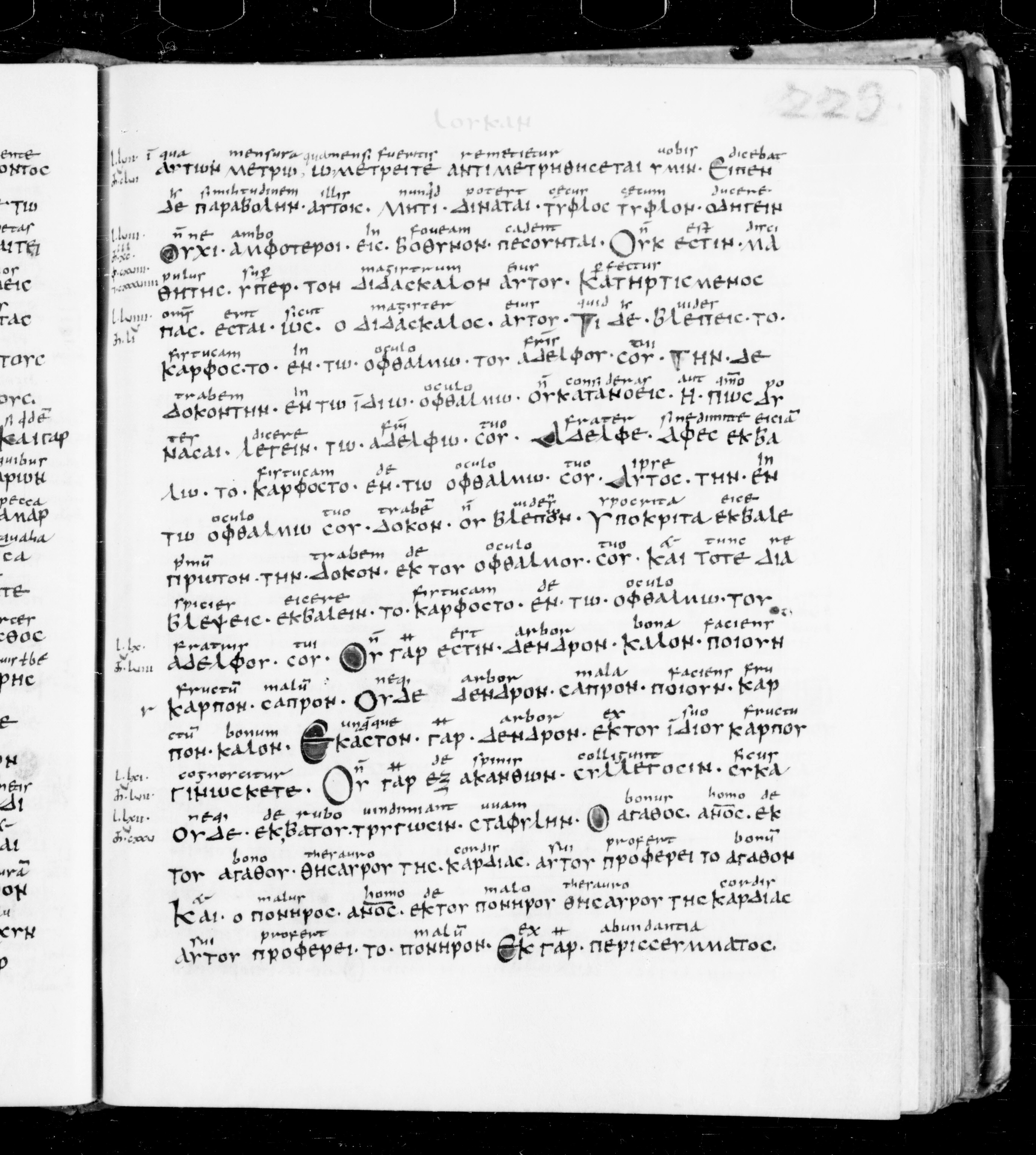 Codex Sangallensis 48 showing Luke 6:39 from 9th Century, currently housed at Abbey library of Saint Gall, St. Gallen, Switzerland