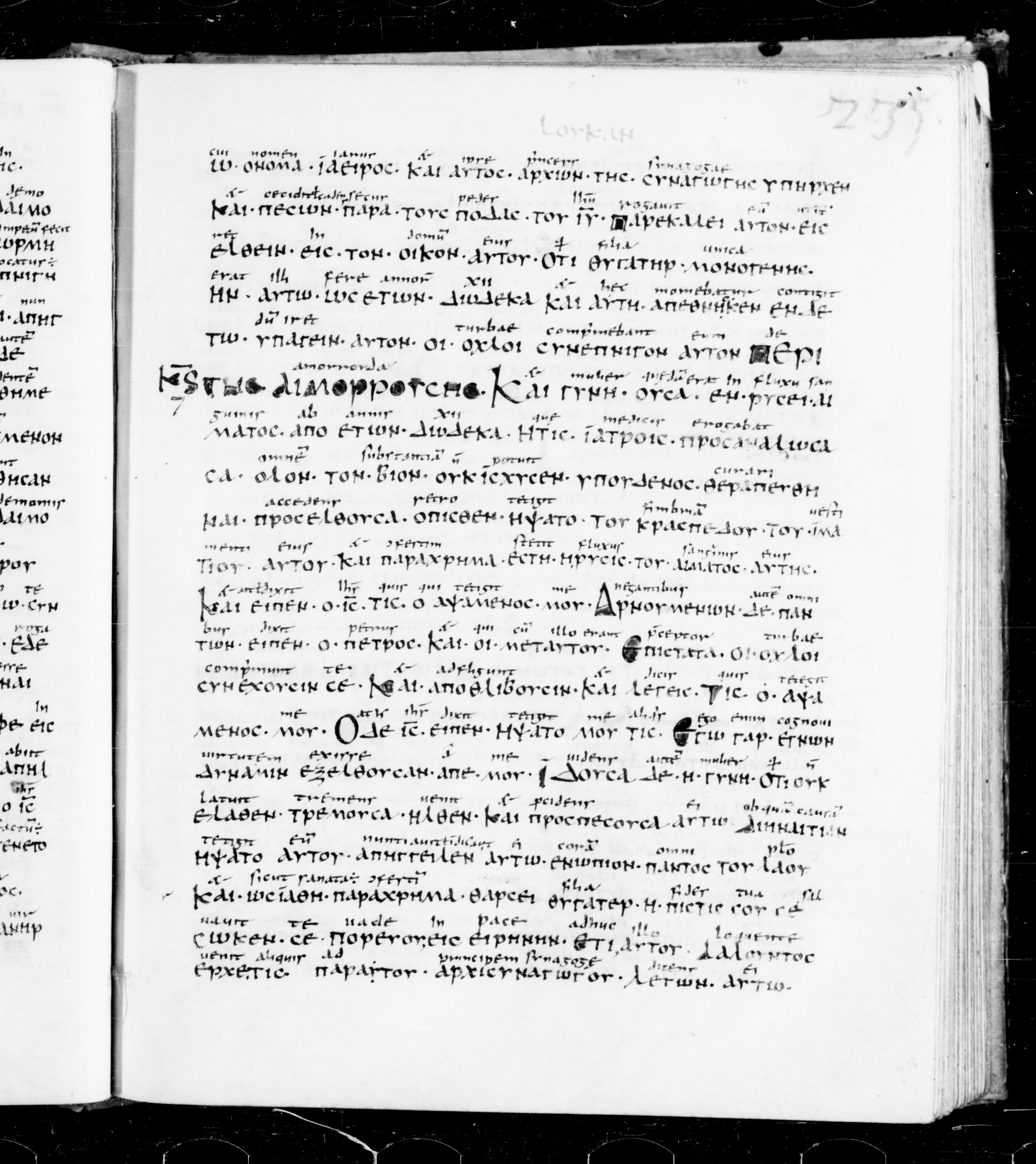 Codex Sangallensis 48 (Scan 1) showing Luke 8:49 from 9th Century, currently housed at Abbey library of Saint Gall, St. Gallen, Switzerland