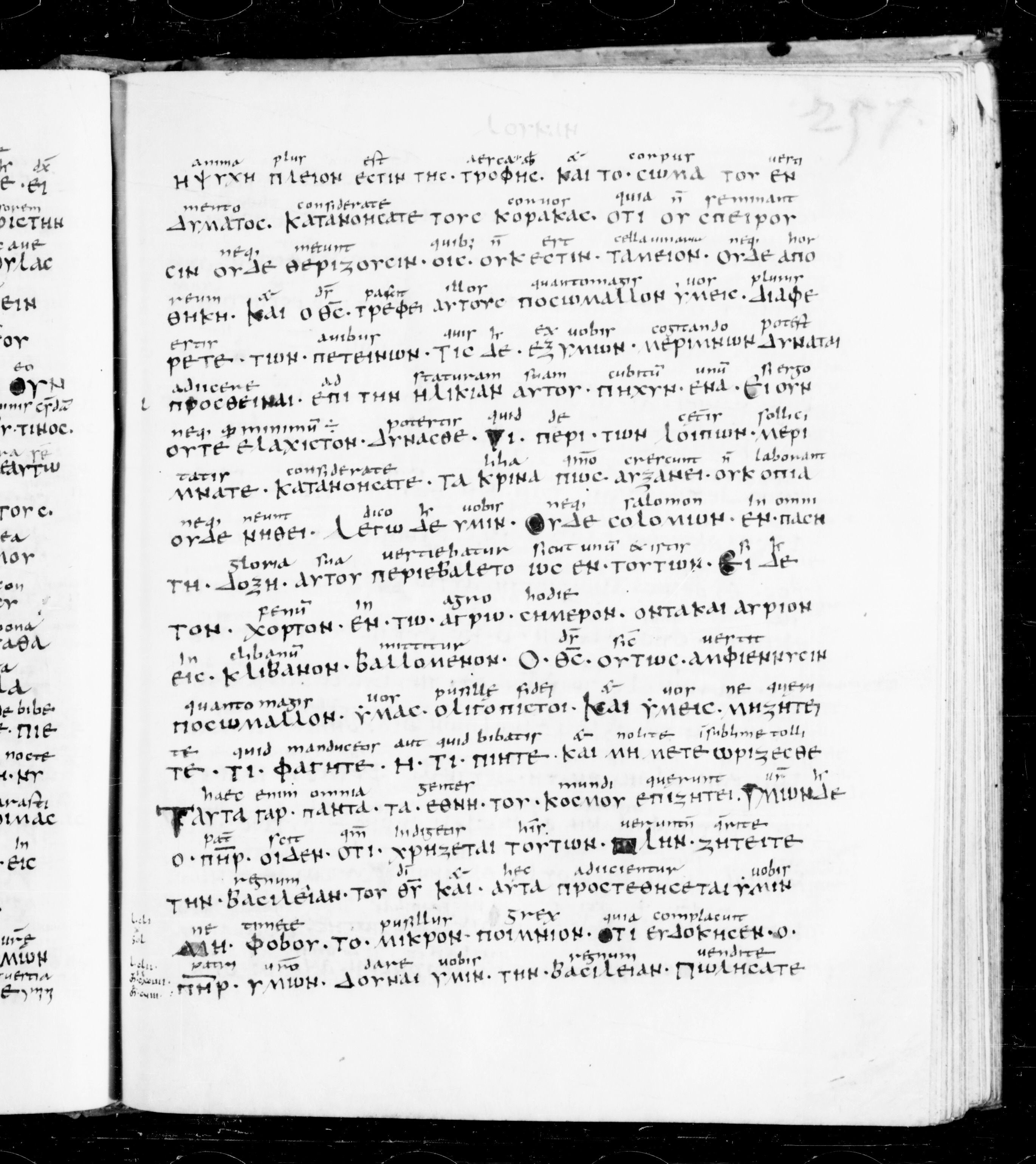 Codex Sangallensis 48 showing Luke 12:32 from 9th Century, currently housed at Abbey library of Saint Gall, St. Gallen, Switzerland