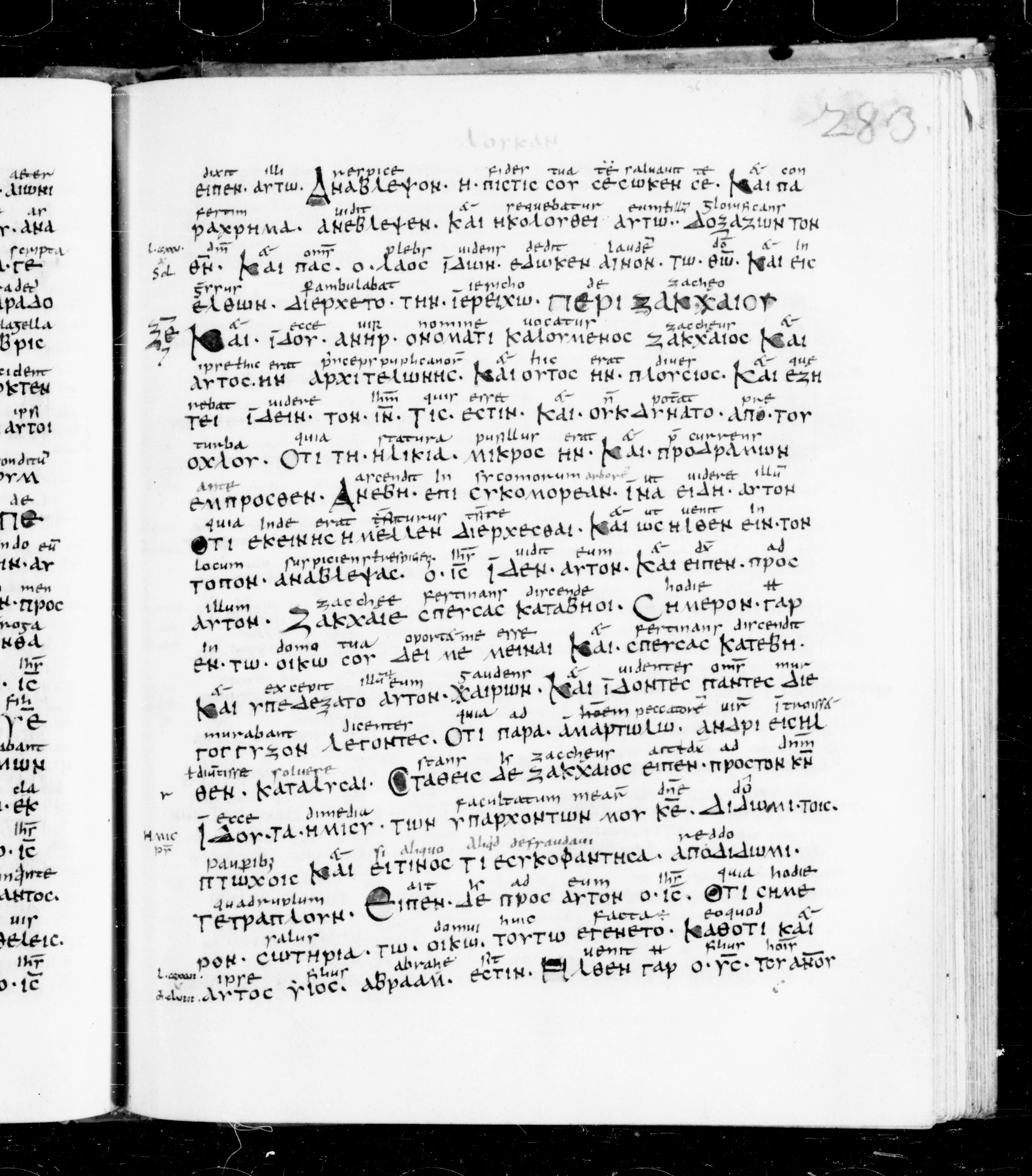 Codex Sangallensis 48 showing Luke 19:2 from 9th Century, currently housed at Abbey library of Saint Gall, St. Gallen, Switzerland