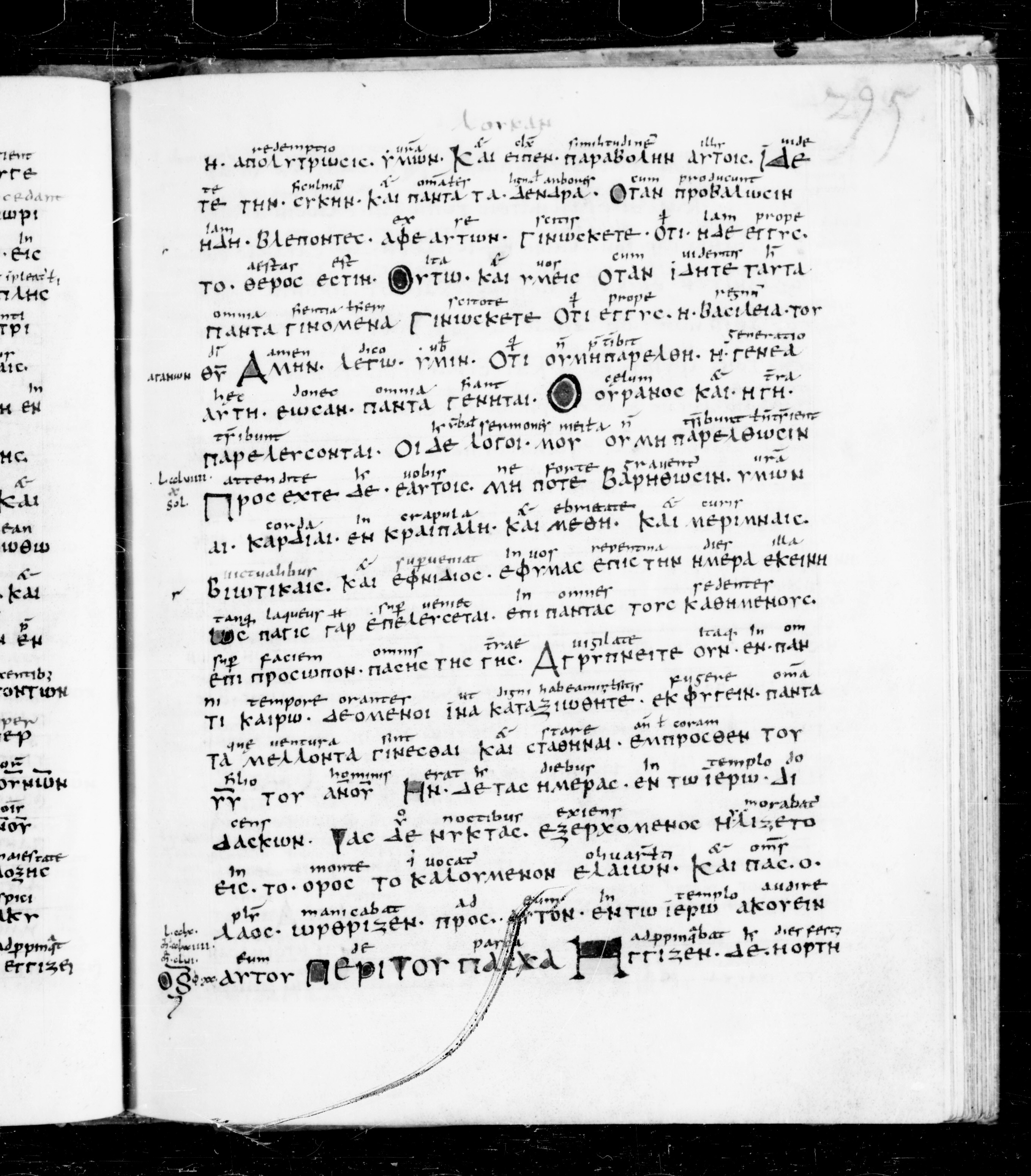 Codex Sangallensis 48 showing Luke 21:32 from 9th Century, currently housed at Abbey library of Saint Gall, St. Gallen, Switzerland
