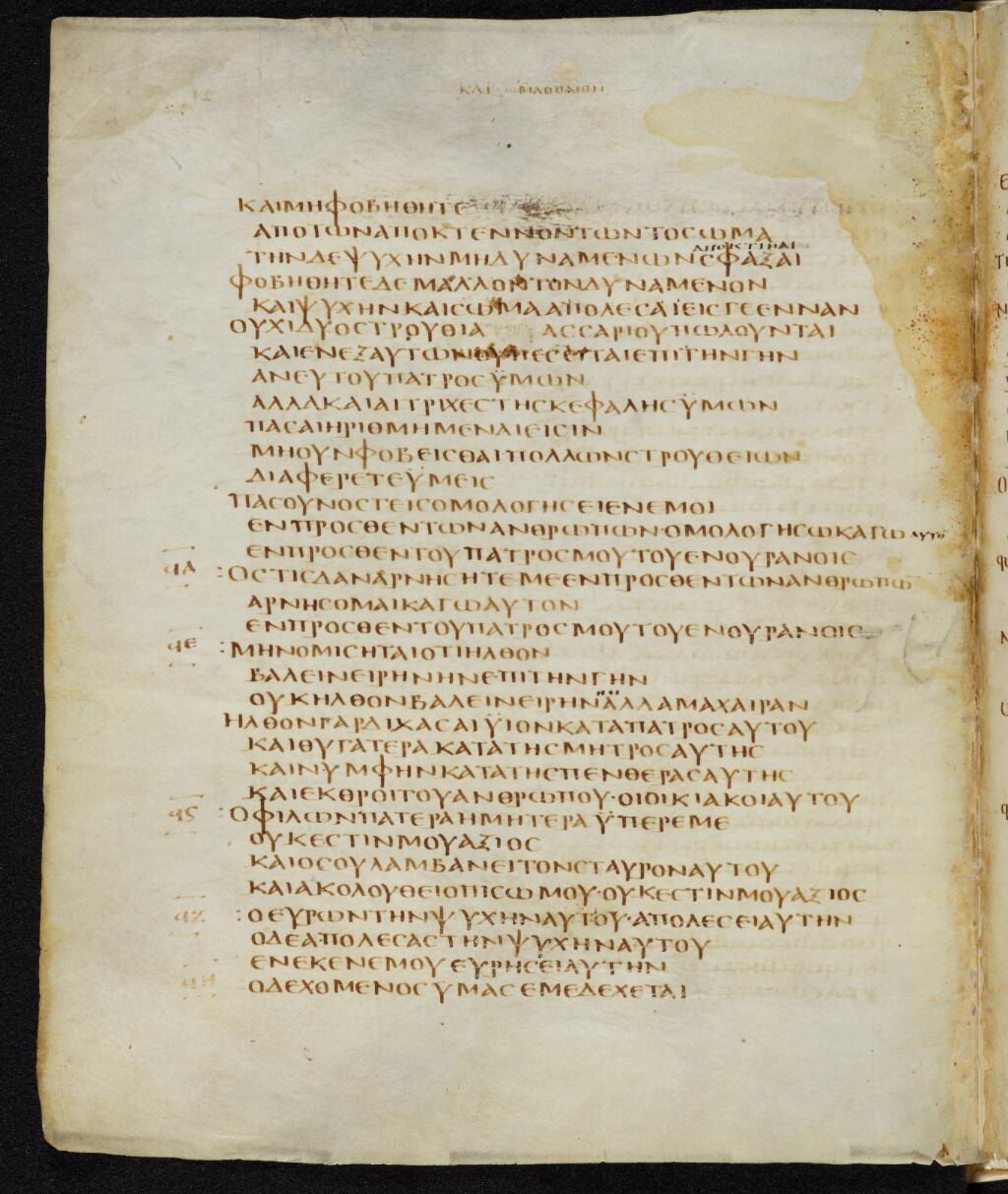 Codex Bezae showing Matthew 10:32 from Late 4th or early 5th Century found in Disputed (likely Southern France or Beirut), currently housed at Cambridge University Library, UK