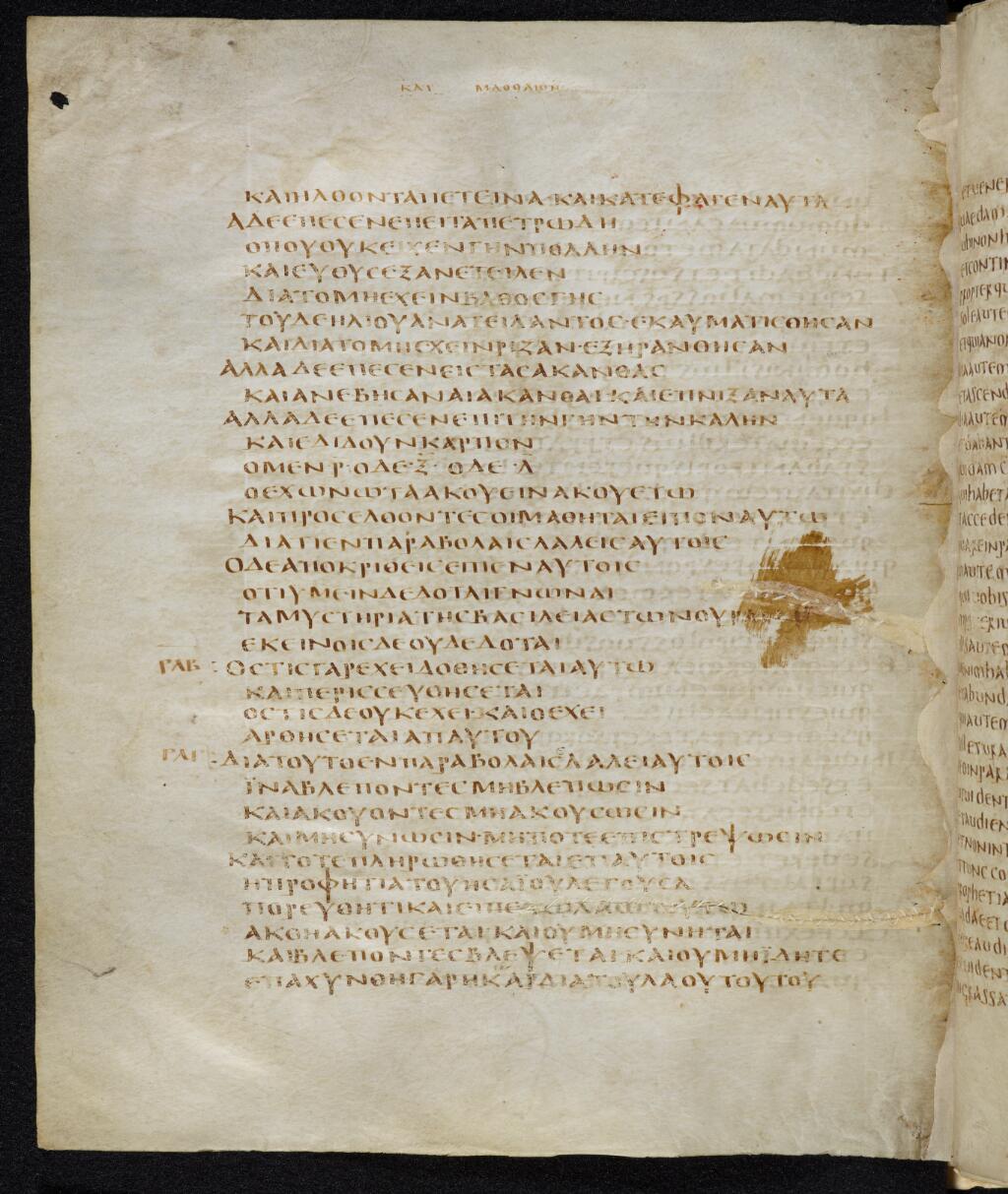 Codex Bezae (Scan 2) showing Matthew 13:4 from Late 4th or early 5th Century found in Disputed (likely Southern France or Beirut), currently housed at Cambridge University Library, UK