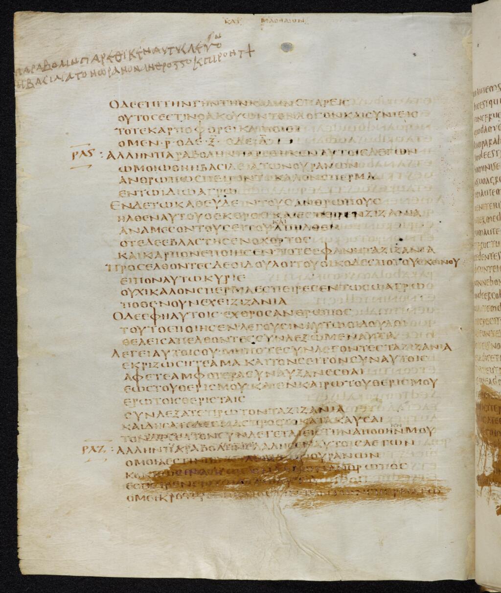 Codex Bezae (Scan 1) showing Matthew 13:32 from Late 4th or early 5th Century found in Disputed (likely Southern France or Beirut), currently housed at Cambridge University Library, UK