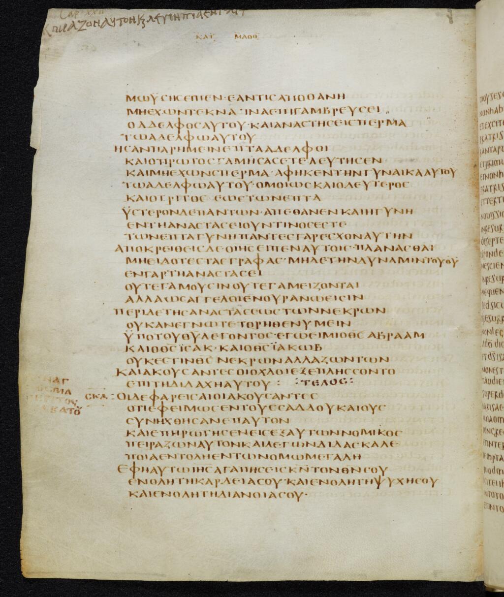 Codex Bezae showing Matthew 22:33 from Late 4th or early 5th Century found in Disputed (likely Southern France or Beirut), currently housed at Cambridge University Library, UK