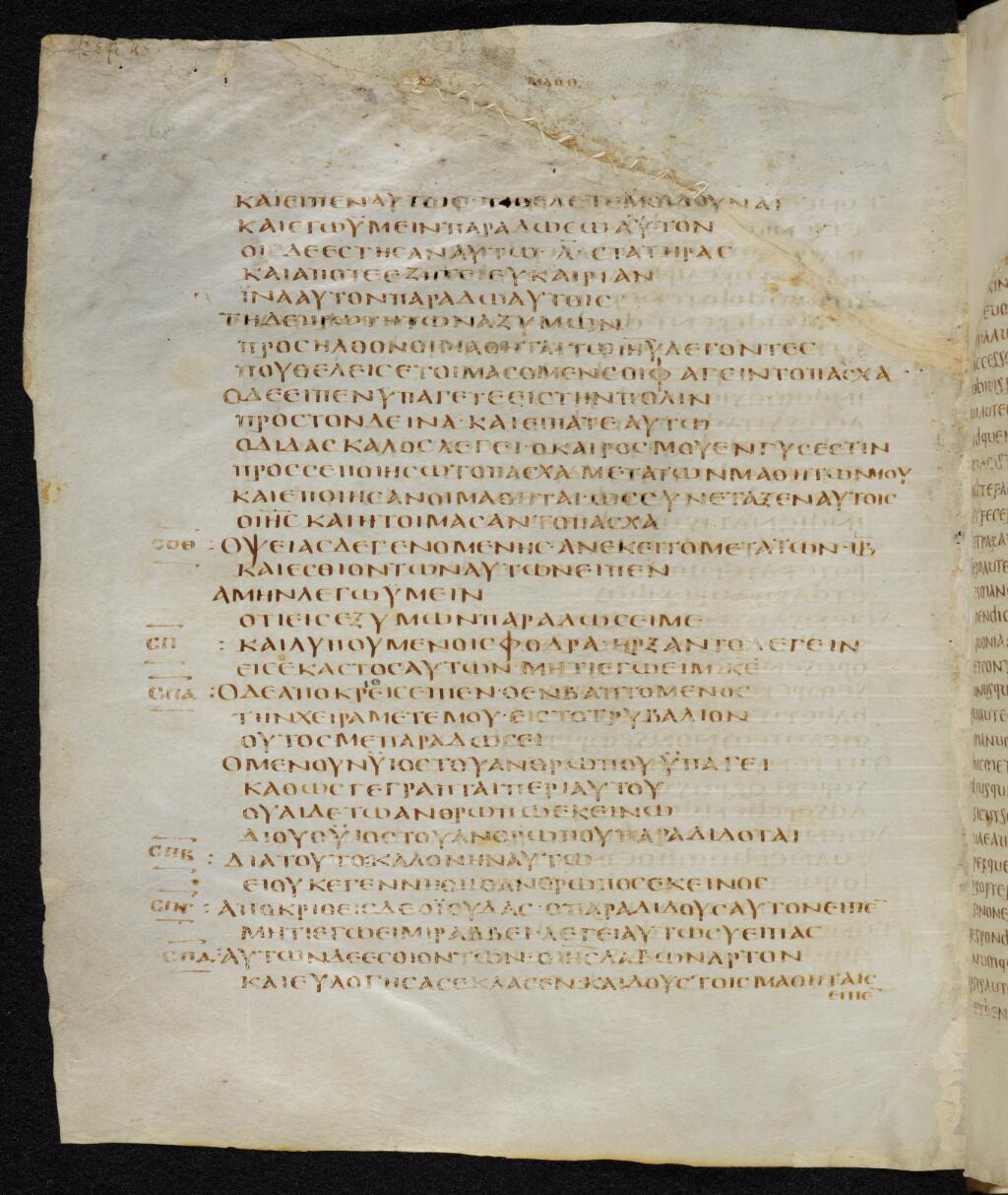Codex Bezae showing Matthew 26:22 from Late 4th or early 5th Century found in Disputed (likely Southern France or Beirut), currently housed at Cambridge University Library, UK