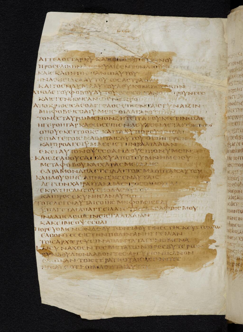 Codex Bezae (Scan 1) showing Matthew 28:13 from Late 4th or early 5th Century found in Disputed (likely Southern France or Beirut), currently housed at Cambridge University Library, UK