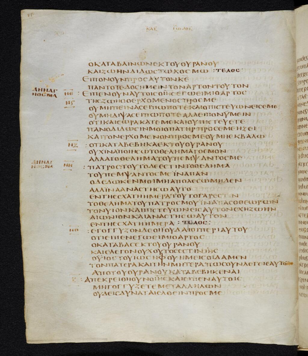 Codex Bezae showing John 6:34 from Late 4th or early 5th Century found in Disputed (likely Southern France or Beirut), currently housed at Cambridge University Library, UK