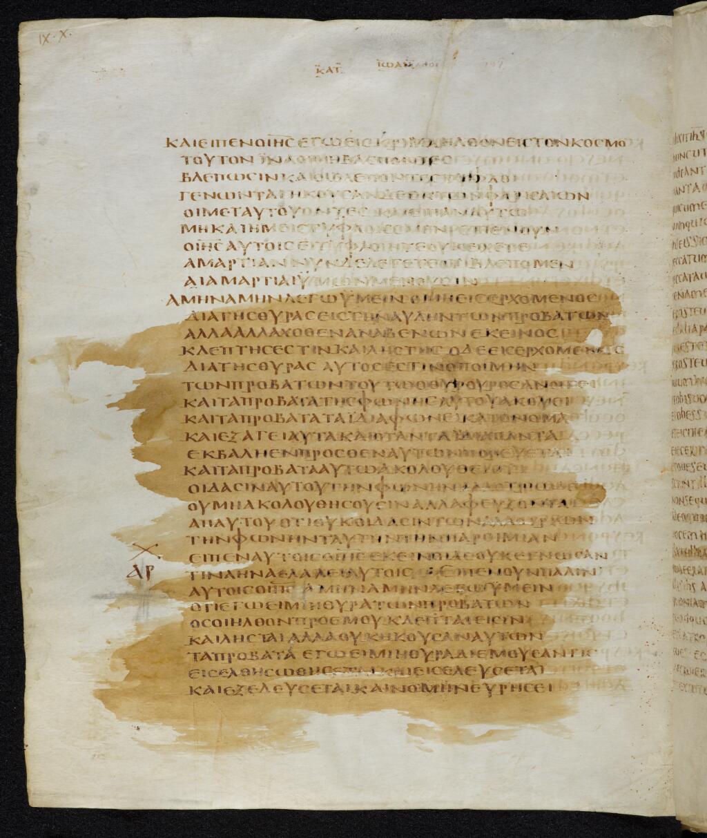 Codex Bezae showing John 10:7 from Late 4th or early 5th Century found in Disputed (likely Southern France or Beirut), currently housed at Cambridge University Library, UK