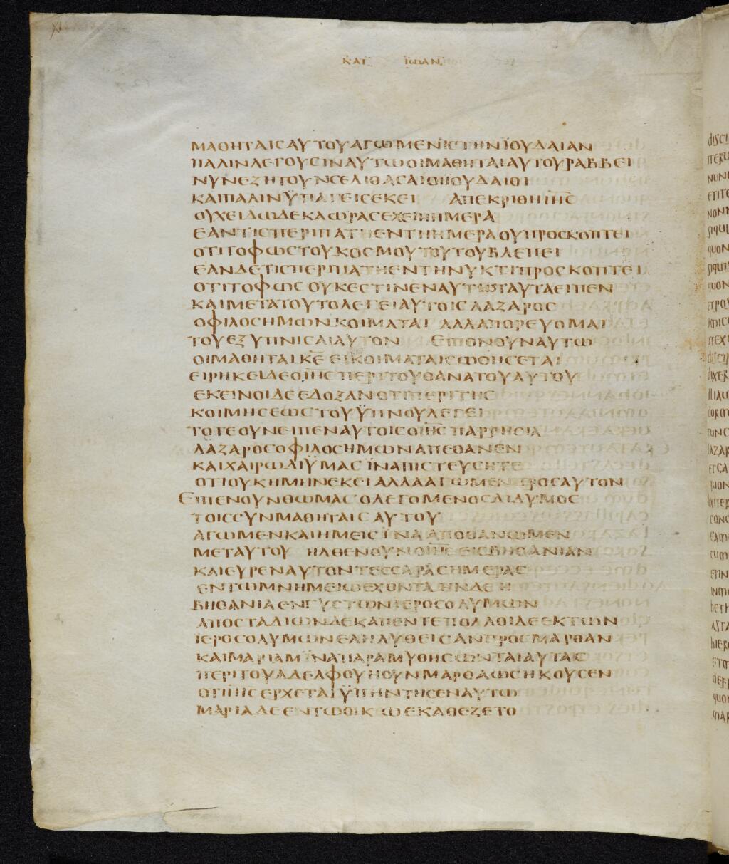 Codex Bezae showing John 11:8 from Late 4th or early 5th Century found in Disputed (likely Southern France or Beirut), currently housed at Cambridge University Library, UK