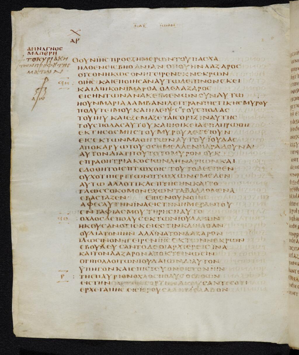 Codex Bezae showing John 12:2 from Late 4th or early 5th Century found in Disputed (likely Southern France or Beirut), currently housed at Cambridge University Library, UK