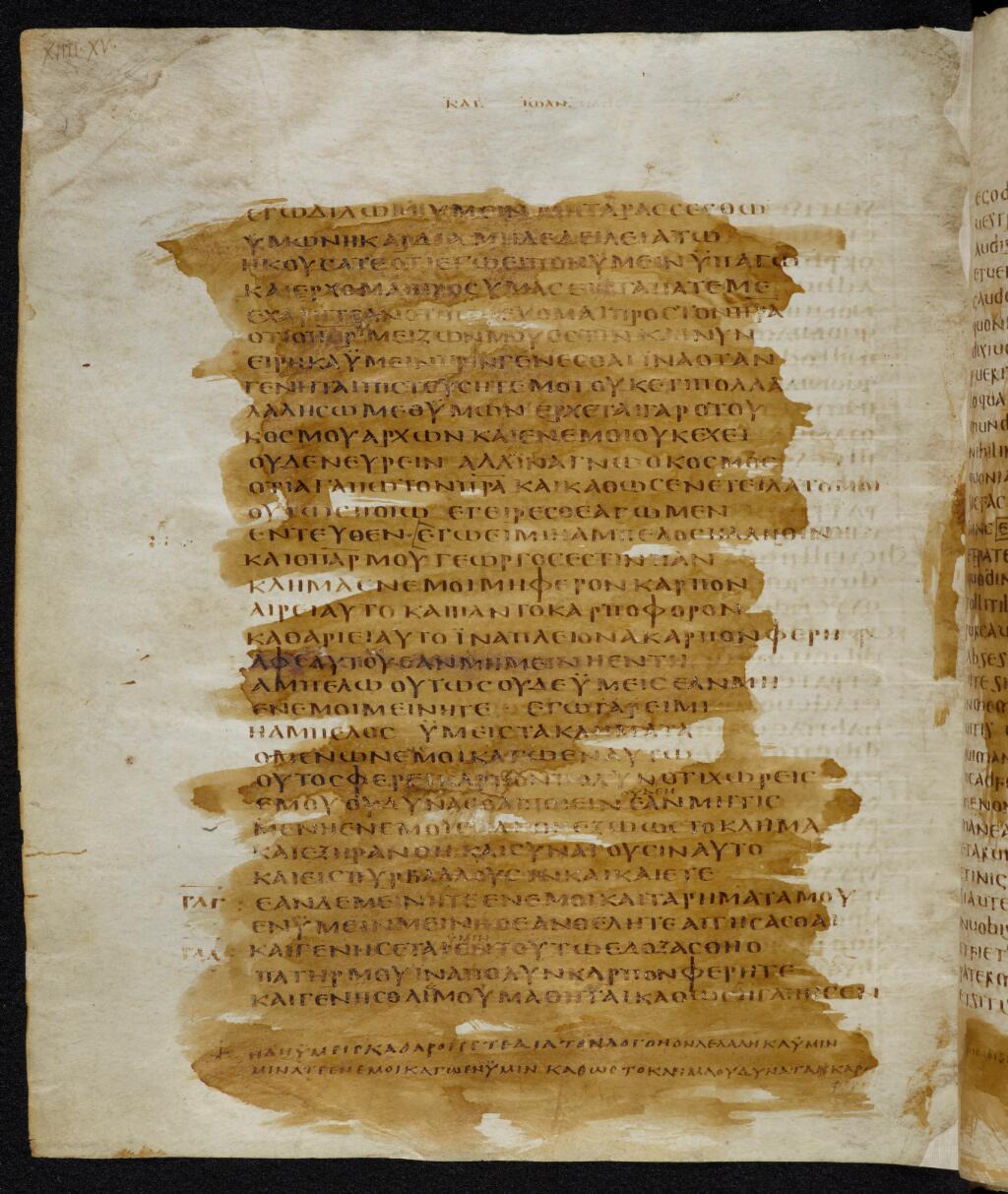 Codex Bezae showing John 15:1 from Late 4th or early 5th Century found in Disputed (likely Southern France or Beirut), currently housed at Cambridge University Library, UK