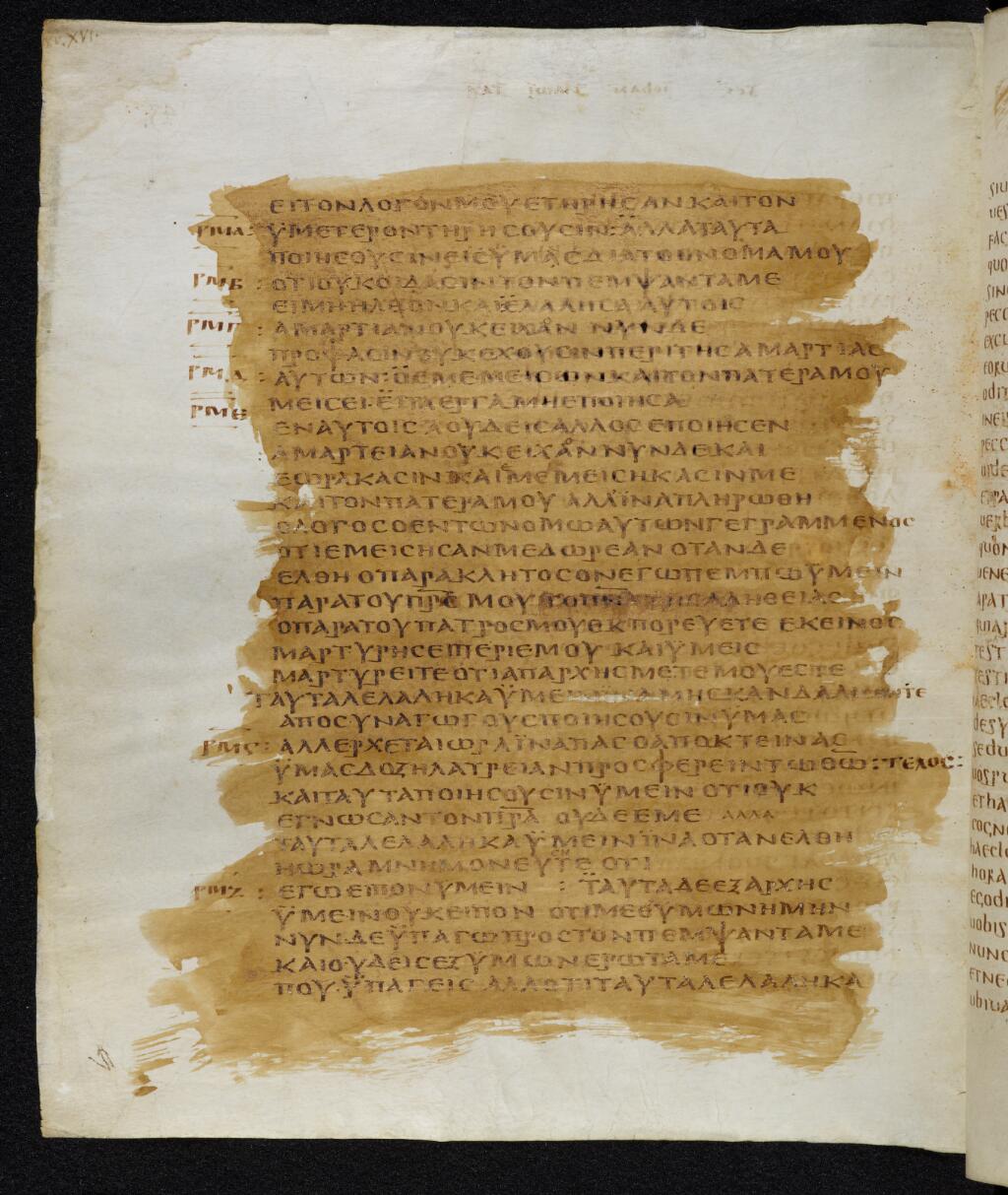 Codex Bezae showing John 16:1 from Late 4th or early 5th Century found in Disputed (likely Southern France or Beirut), currently housed at Cambridge University Library, UK