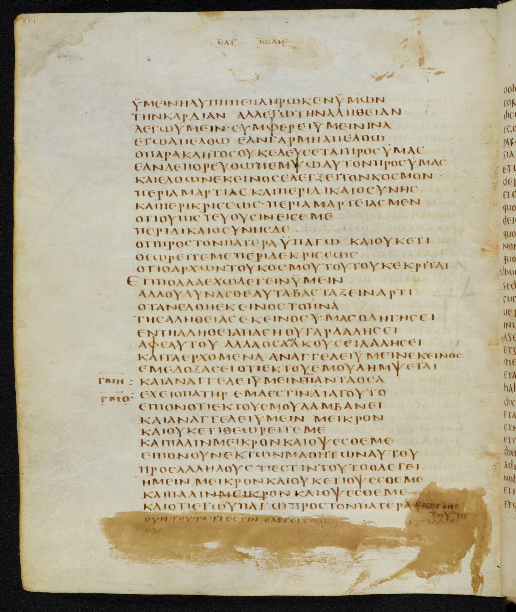 Codex Bezae showing John 16:8 from Late 4th or early 5th Century found in Disputed (likely Southern France or Beirut), currently housed at Cambridge University Library, UK