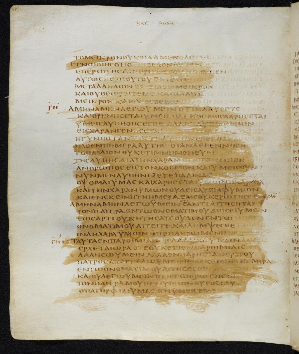 Codex Bezae showing John 16:21 from Late 4th or early 5th Century found in Disputed (likely Southern France or Beirut), currently housed at Cambridge University Library, UK