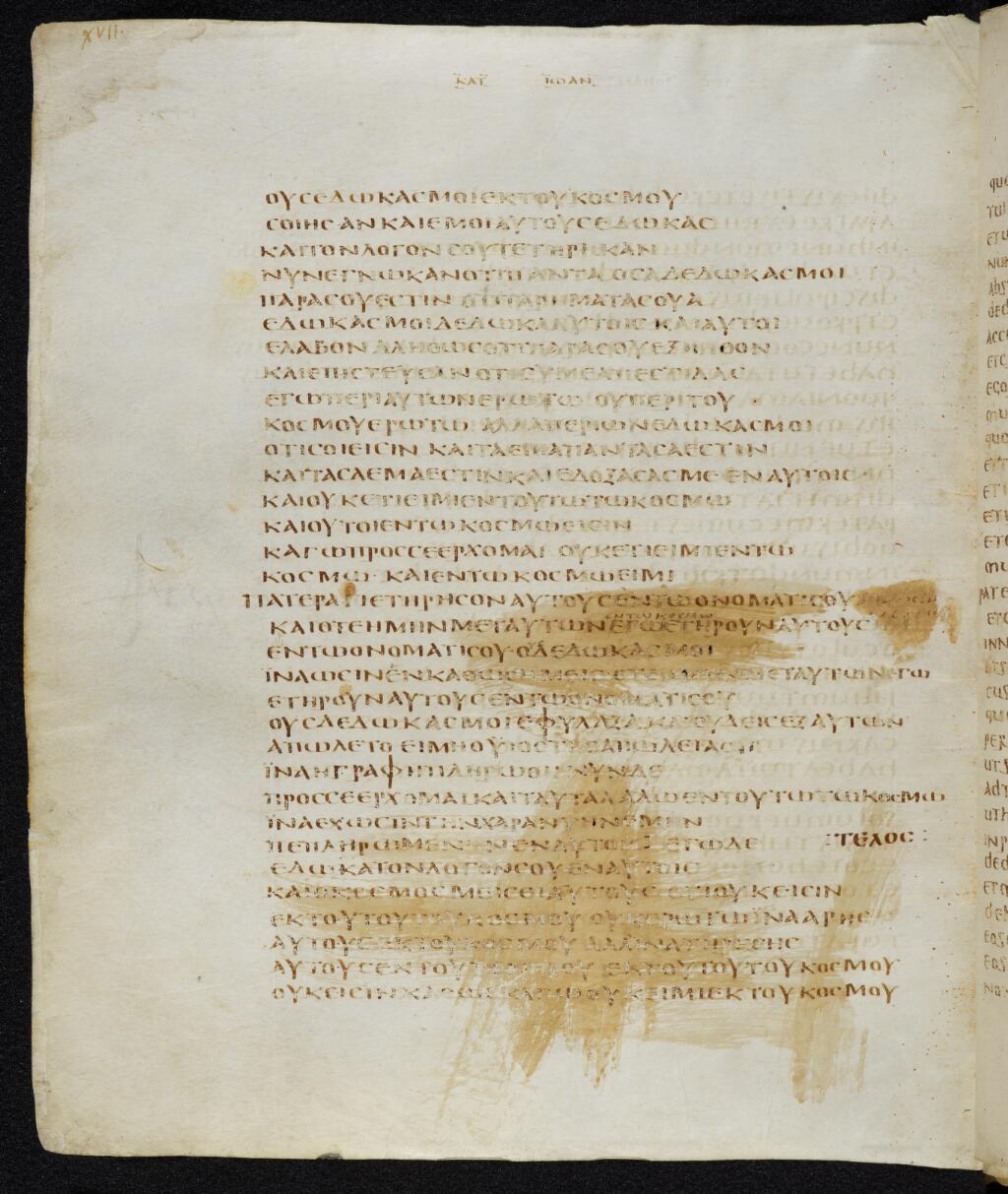 Codex Bezae showing John 17:8 from Late 4th or early 5th Century found in Disputed (likely Southern France or Beirut), currently housed at Cambridge University Library, UK
