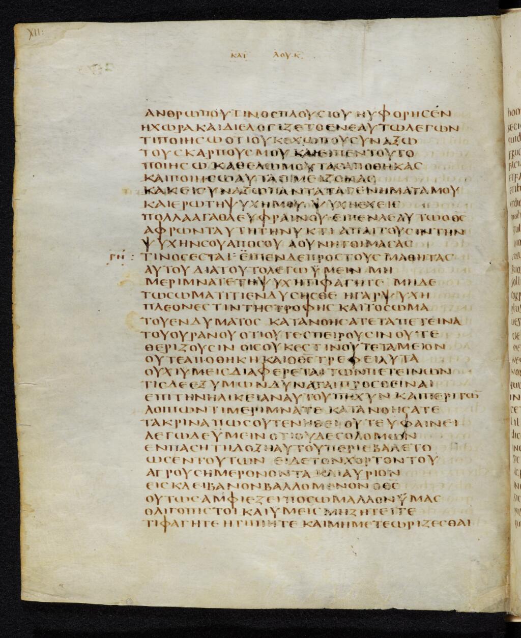 Codex Bezae showing Luke 12:22 from Late 4th or early 5th Century found in Disputed (likely Southern France or Beirut), currently housed at Cambridge University Library, UK