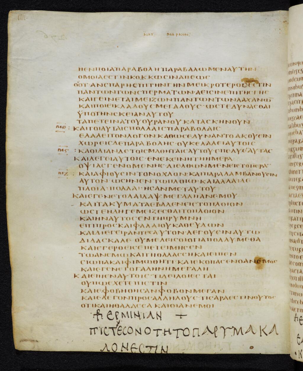 Codex Bezae showing Mark 4:32 from Late 4th or early 5th Century found in Disputed (likely Southern France or Beirut), currently housed at Cambridge University Library, UK