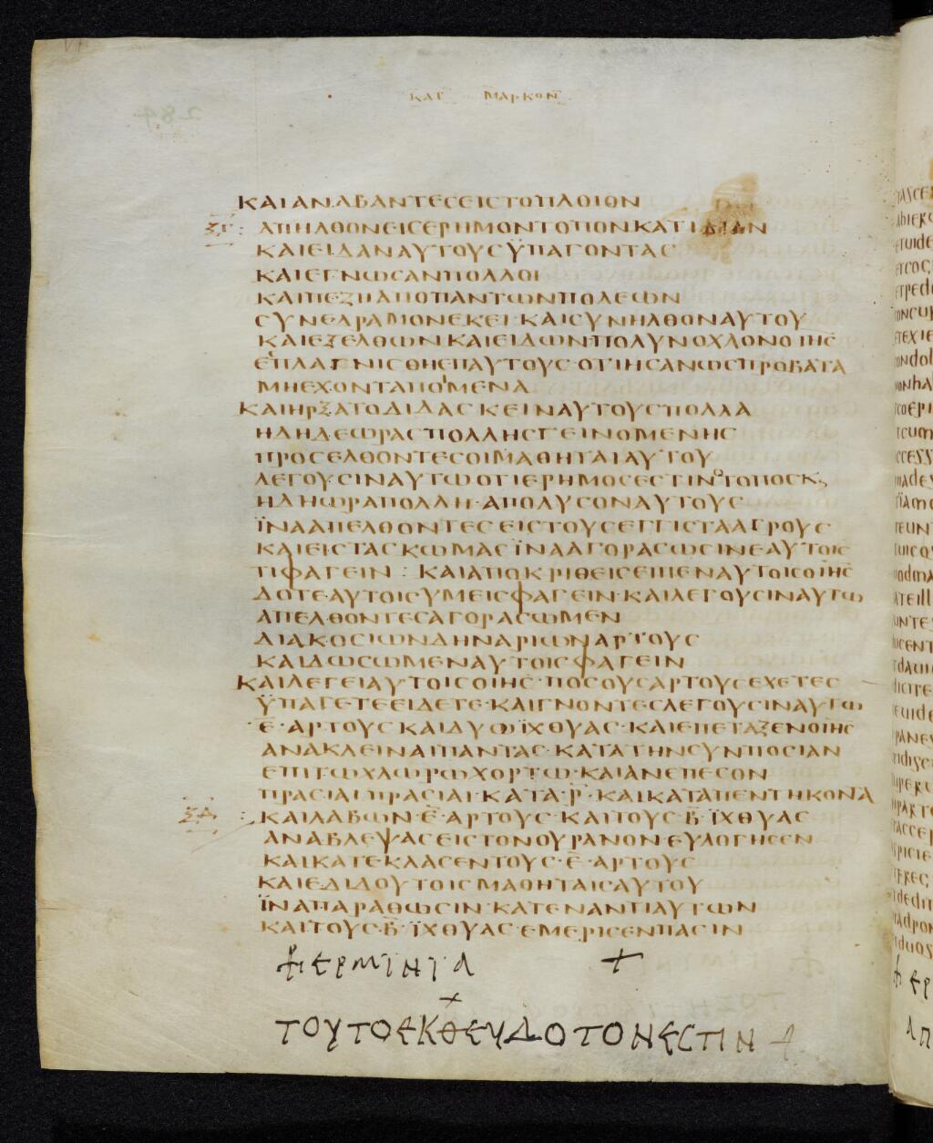 Codex Bezae showing Mark 6:39 from Late 4th or early 5th Century found in Disputed (likely Southern France or Beirut), currently housed at Cambridge University Library, UK