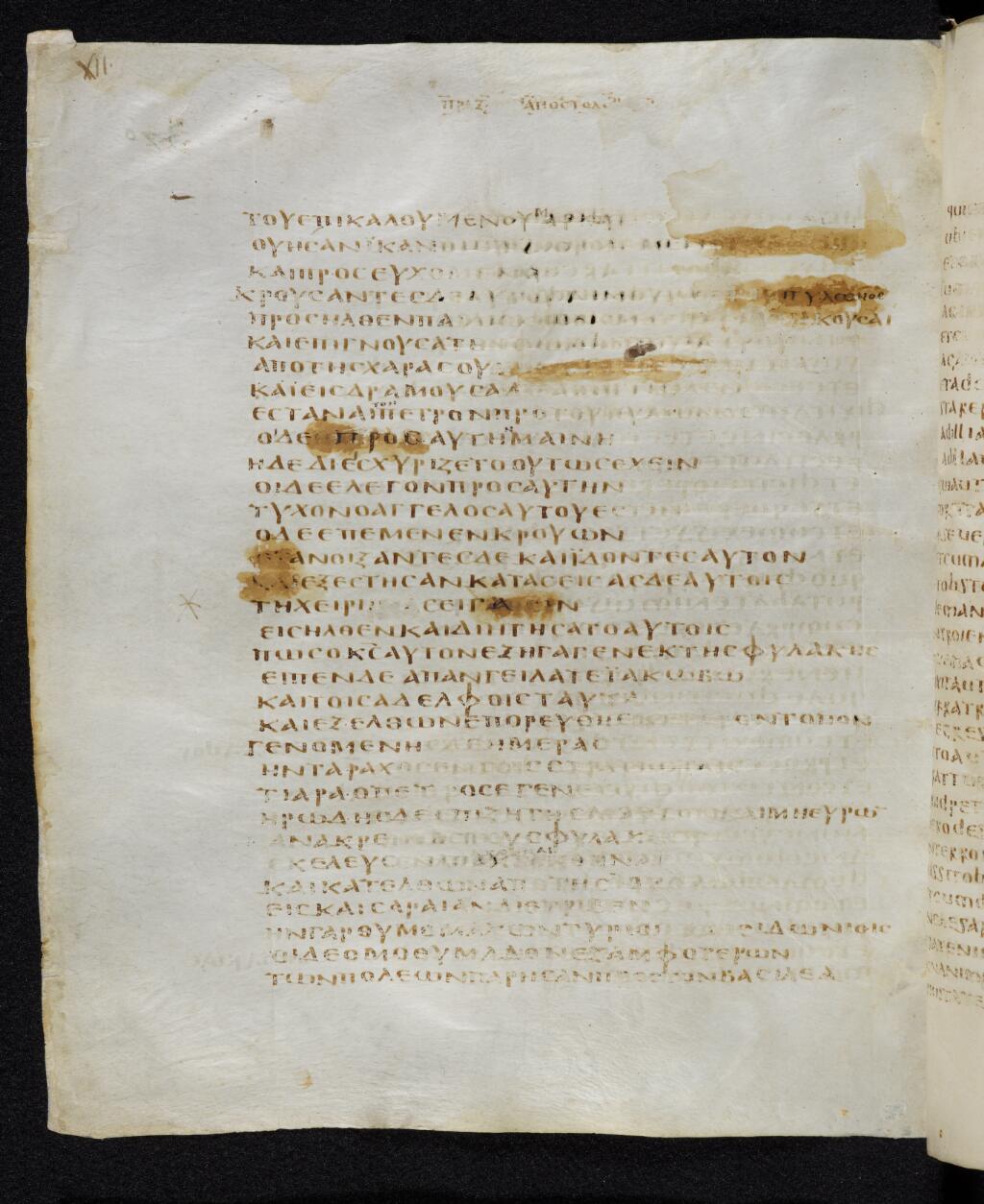 Codex Bezae showing Acts 12:13 from Late 4th or early 5th Century found in Disputed (likely Southern France or Beirut), currently housed at Cambridge University Library, UK