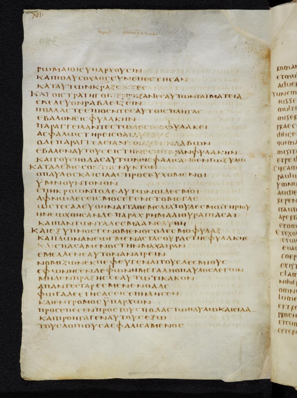 Codex Bezae (Scan 2) showing Acts 16:21 from Late 4th or early 5th Century found in Disputed (likely Southern France or Beirut), currently housed at Cambridge University Library, UK