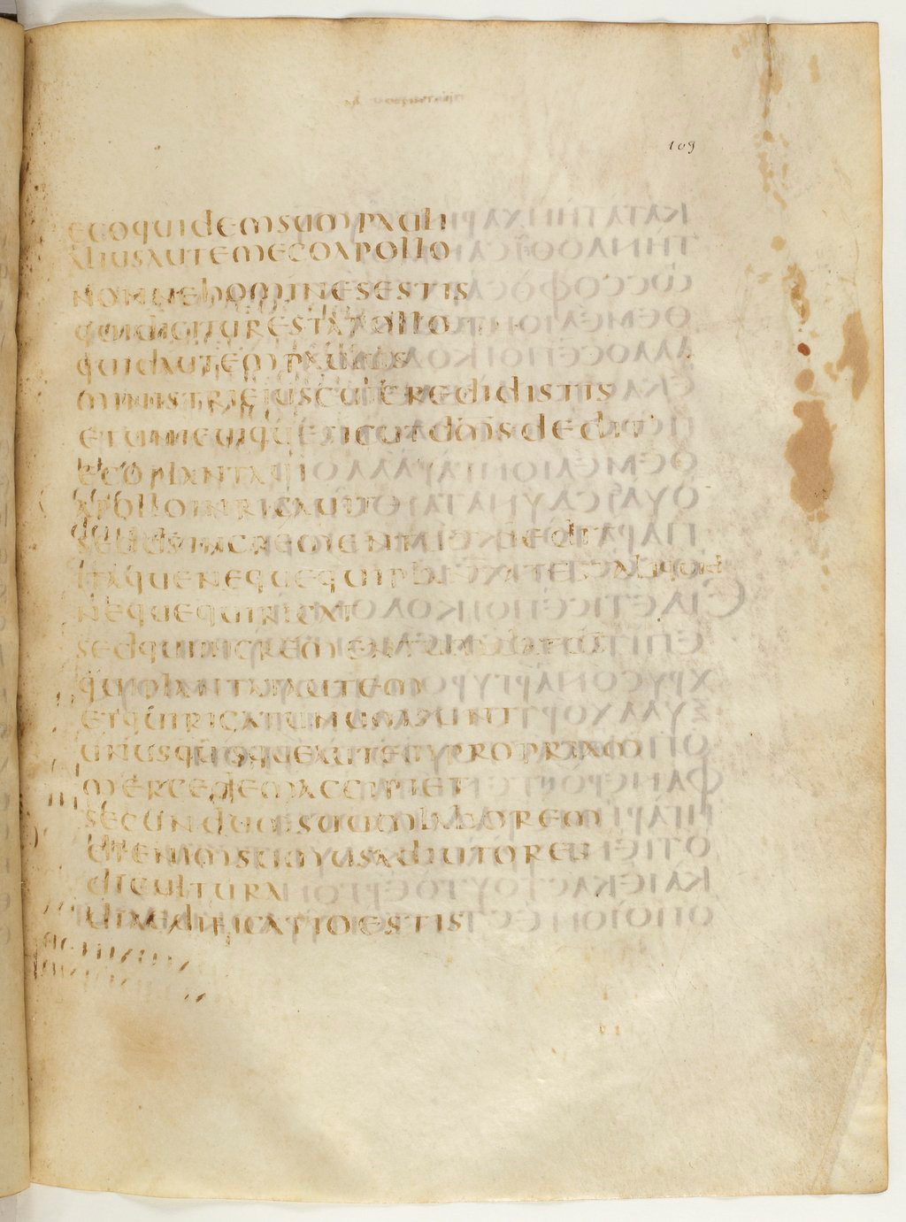 Codex Claromontanus (Scan 4) showing 1 Corinthians 3:4 from 5th / 6th Century found in Clermont-Ferrand, France, currently housed at Bibliothèque nationale de France, Paris