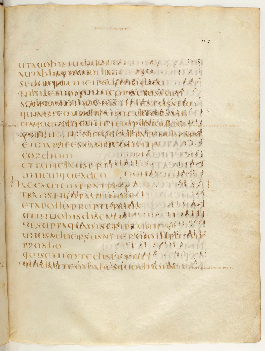 Codex Claromontanus (Scan 4) showing 1 Corinthians 4:2 from 5th / 6th Century found in Clermont-Ferrand, France, currently housed at Bibliothèque nationale de France, Paris