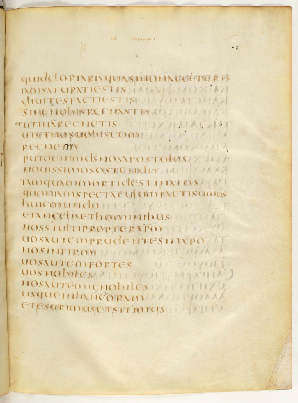Codex Claromontanus (Scan 4) showing 1 Corinthians 4:7 from 5th / 6th Century found in Clermont-Ferrand, France, currently housed at Bibliothèque nationale de France, Paris