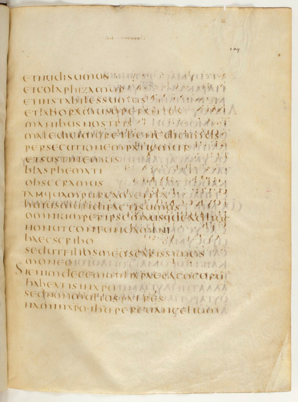 Codex Claromontanus (Scan 2) showing 1 Corinthians 4:13 from 5th / 6th Century found in Clermont-Ferrand, France, currently housed at Bibliothèque nationale de France, Paris