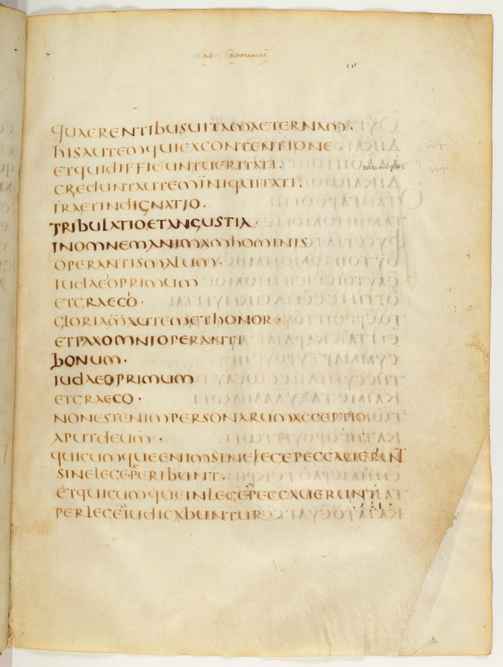 Codex Claromontanus (Scan 1) showing Romans 2:7 from 5th / 6th Century found in Clermont-Ferrand, France, currently housed at Bibliothèque nationale de France, Paris