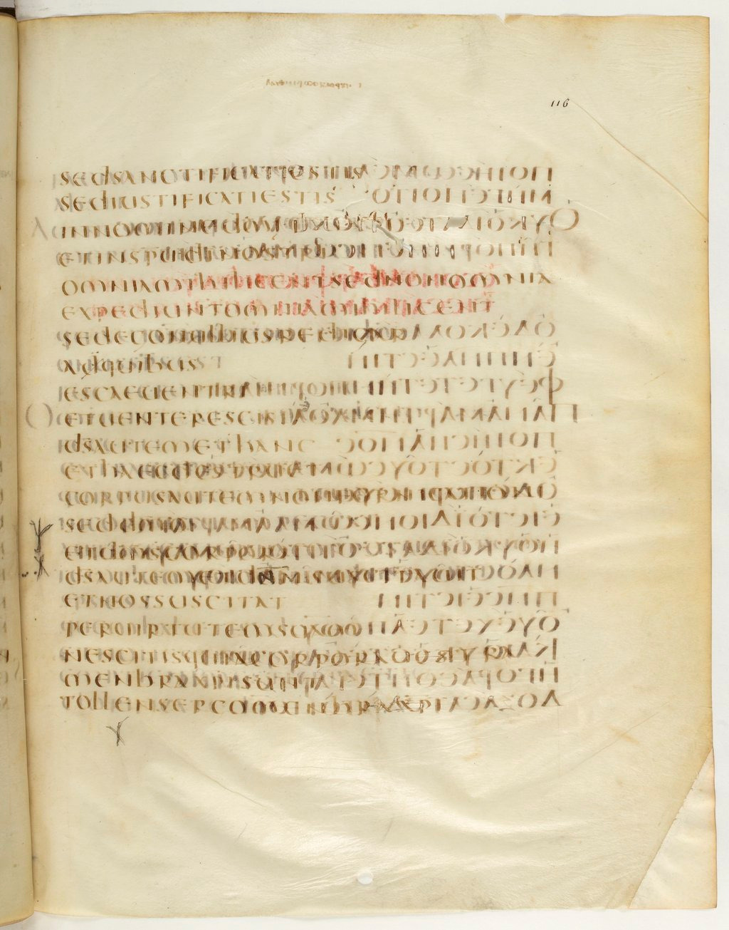 Codex Claromontanus (Scan 2) showing 1 Corinthians 6:13 from 5th / 6th Century found in Clermont-Ferrand, France, currently housed at Bibliothèque nationale de France, Paris