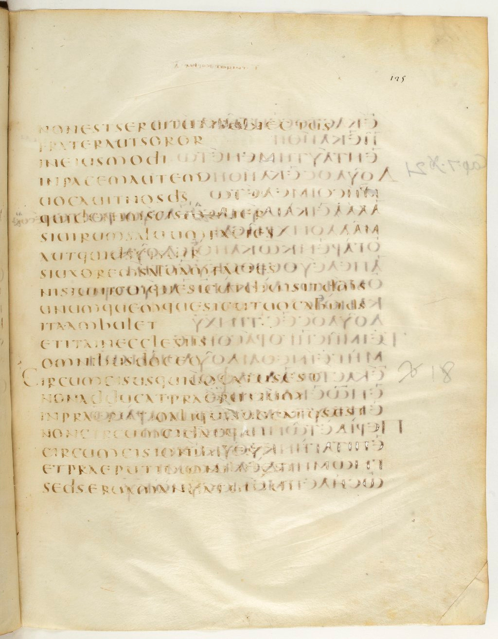 Codex Claromontanus (Scan 2) showing 1 Corinthians 7:16 from 5th / 6th Century found in Clermont-Ferrand, France, currently housed at Bibliothèque nationale de France, Paris
