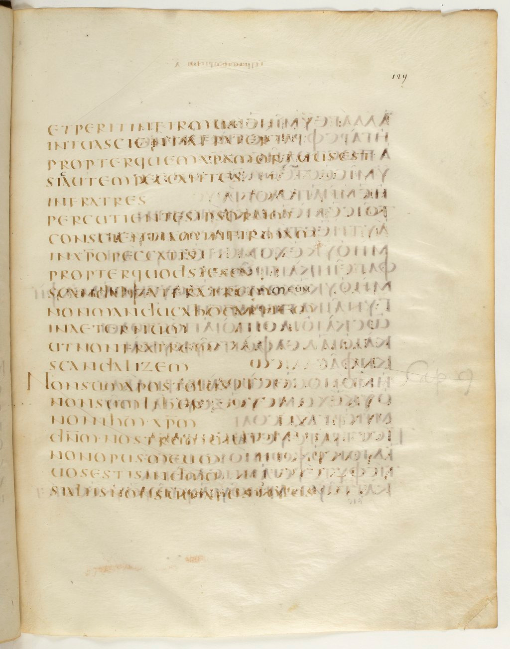 Codex Claromontanus (Scan 2) showing 1 Corinthians 8:13 from 5th / 6th Century found in Clermont-Ferrand, France, currently housed at Bibliothèque nationale de France, Paris