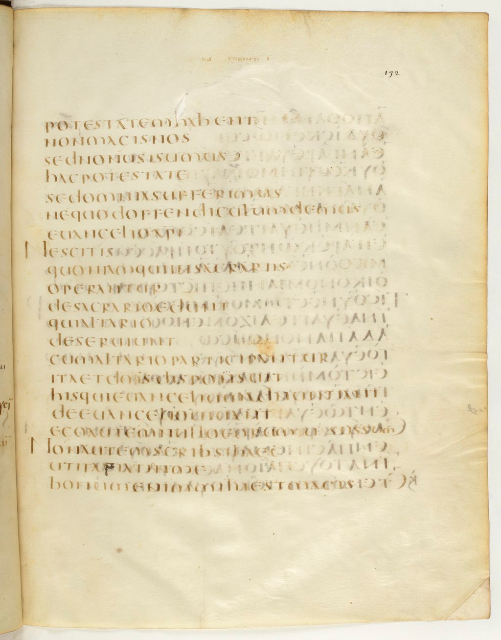 Codex Claromontanus (Scan 2) showing 1 Corinthians 9:13 from 5th / 6th Century found in Clermont-Ferrand, France, currently housed at Bibliothèque nationale de France, Paris