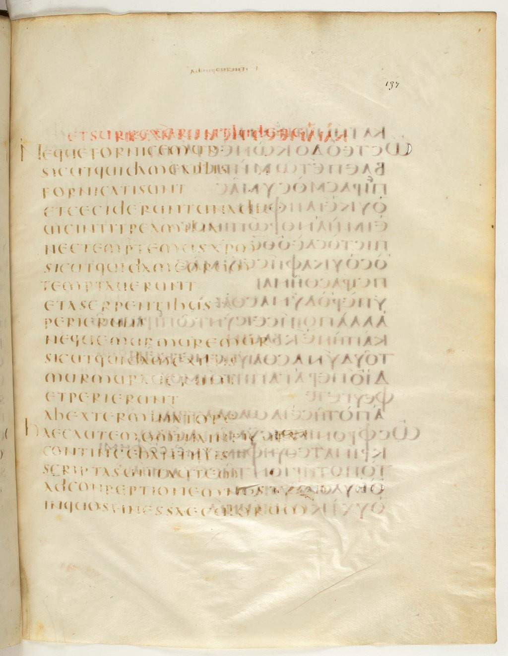 Codex Claromontanus (Scan 4) showing 1 Corinthians 10:7 from 5th / 6th Century found in Clermont-Ferrand, France, currently housed at Bibliothèque nationale de France, Paris
