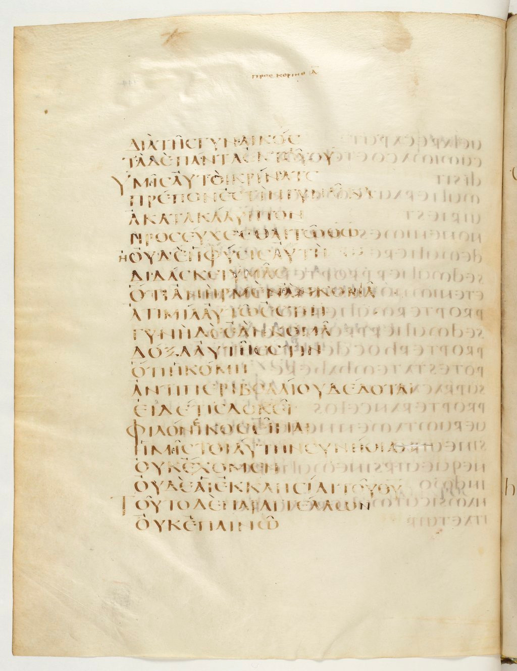 Codex Claromontanus (Scan 1) showing 1 Corinthians 11:16 from 5th / 6th Century found in Clermont-Ferrand, France, currently housed at Bibliothèque nationale de France, Paris