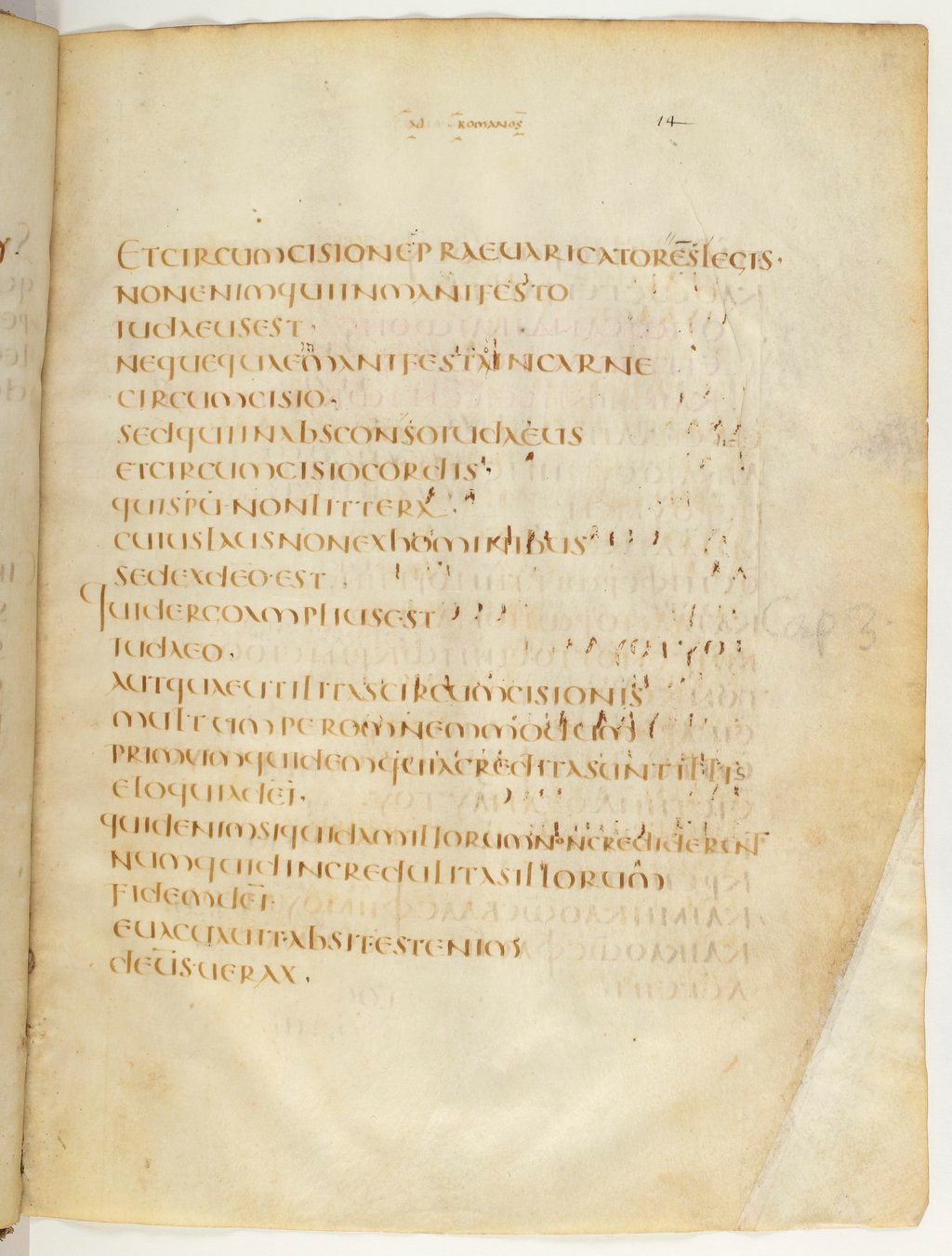 Codex Claromontanus (Scan 2) showing Romans 2:28 from 5th / 6th Century found in Clermont-Ferrand, France, currently housed at Bibliothèque nationale de France, Paris