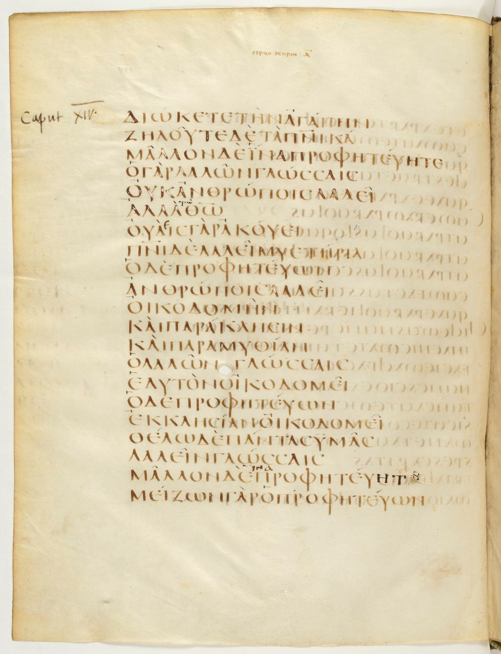 Codex Claromontanus (Scan 1) showing 1 Corinthians 14:2 from 5th / 6th Century found in Clermont-Ferrand, France, currently housed at Bibliothèque nationale de France, Paris