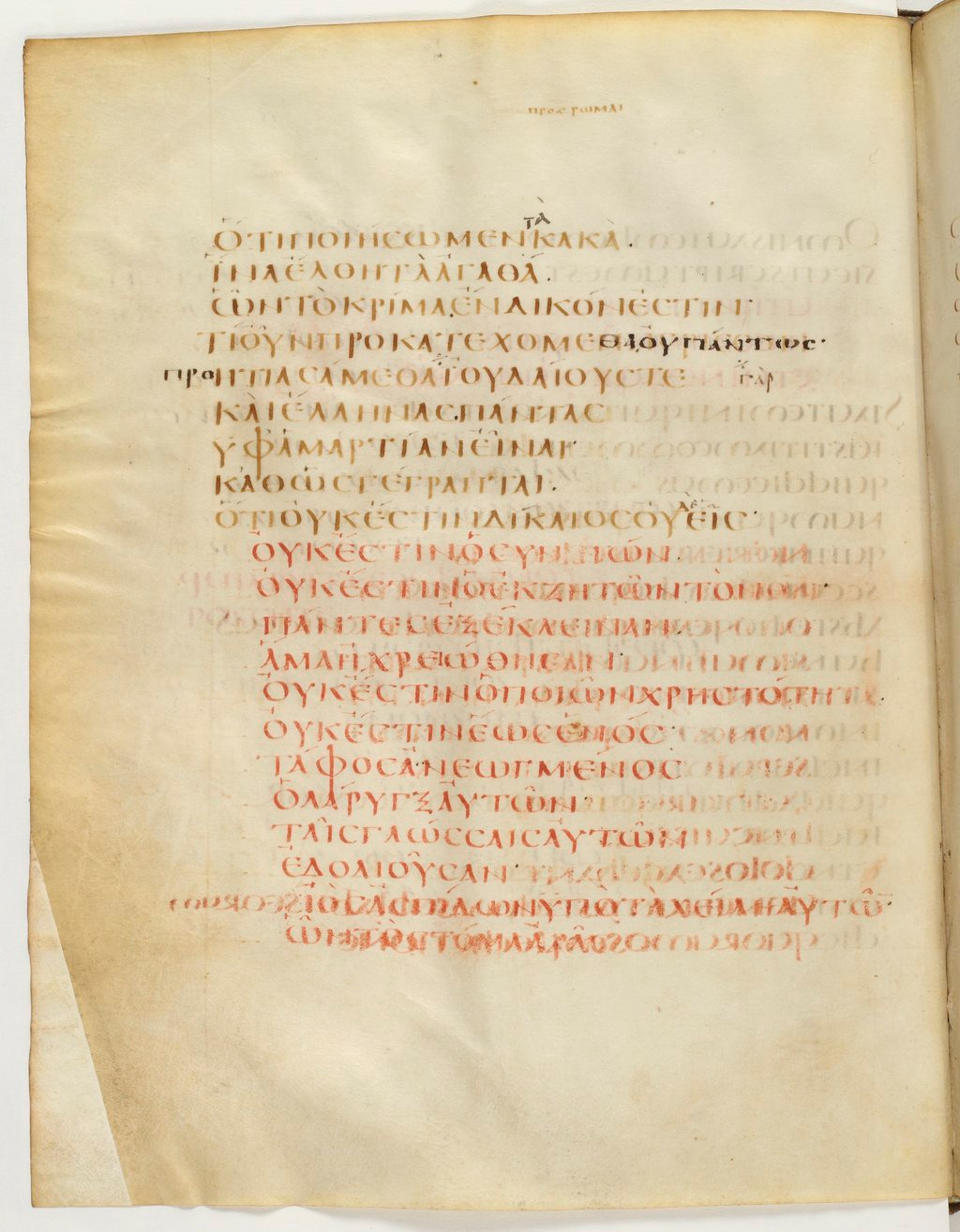 Codex Claromontanus (Scan 1) showing Romans 3:13 from 5th / 6th Century found in Clermont-Ferrand, France, currently housed at Bibliothèque nationale de France, Paris