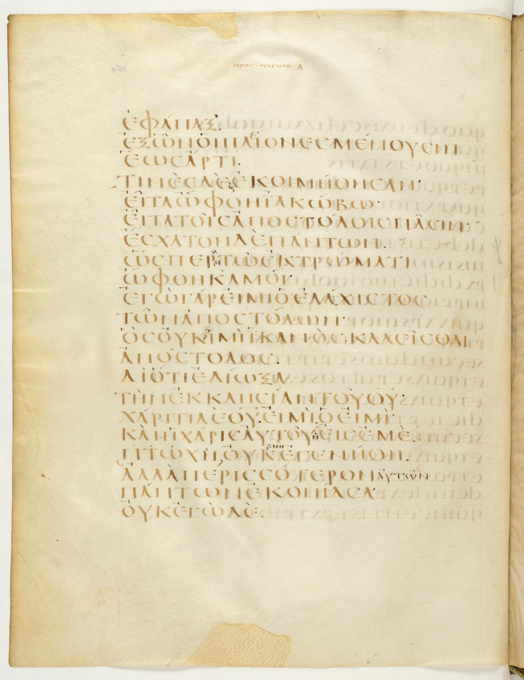 Codex Claromontanus (Scan 1) showing 1 Corinthians 15:7 from 5th / 6th Century found in Clermont-Ferrand, France, currently housed at Bibliothèque nationale de France, Paris