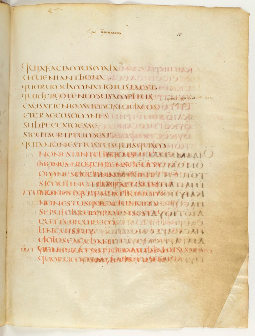 Codex Claromontanus (Scan 2) showing Romans 3:13 from 5th / 6th Century found in Clermont-Ferrand, France, currently housed at Bibliothèque nationale de France, Paris