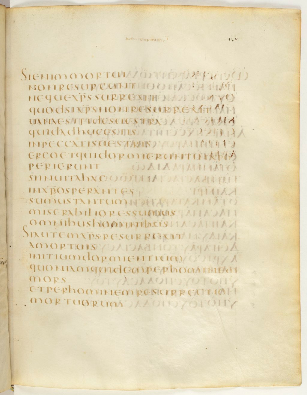 Codex Claromontanus (Scan 2) showing 1 Corinthians 15:21 from 5th / 6th Century found in Clermont-Ferrand, France, currently housed at Bibliothèque nationale de France, Paris
