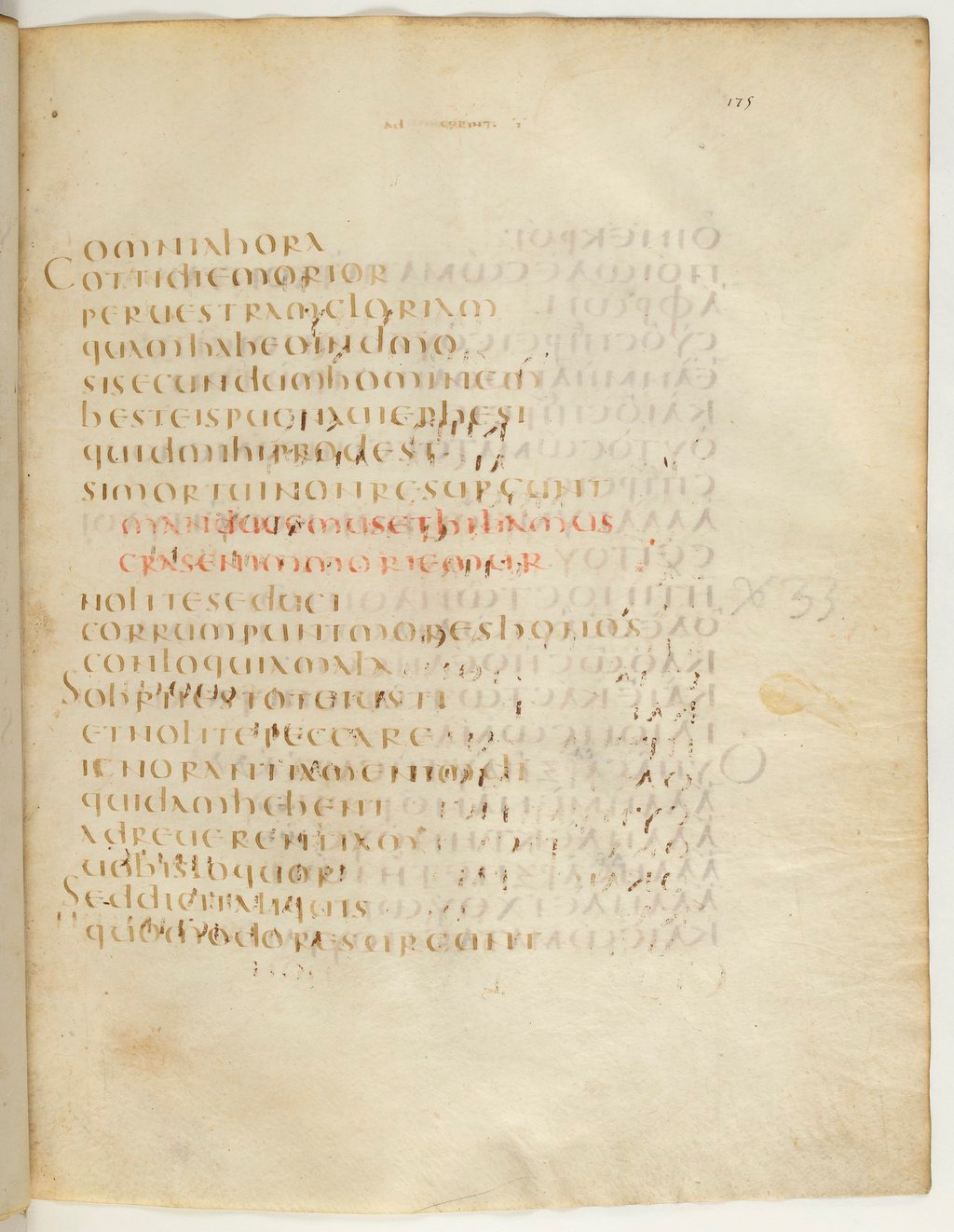 Codex Claromontanus (Scan 2) showing 1 Corinthians 15:35 from 5th / 6th Century found in Clermont-Ferrand, France, currently housed at Bibliothèque nationale de France, Paris