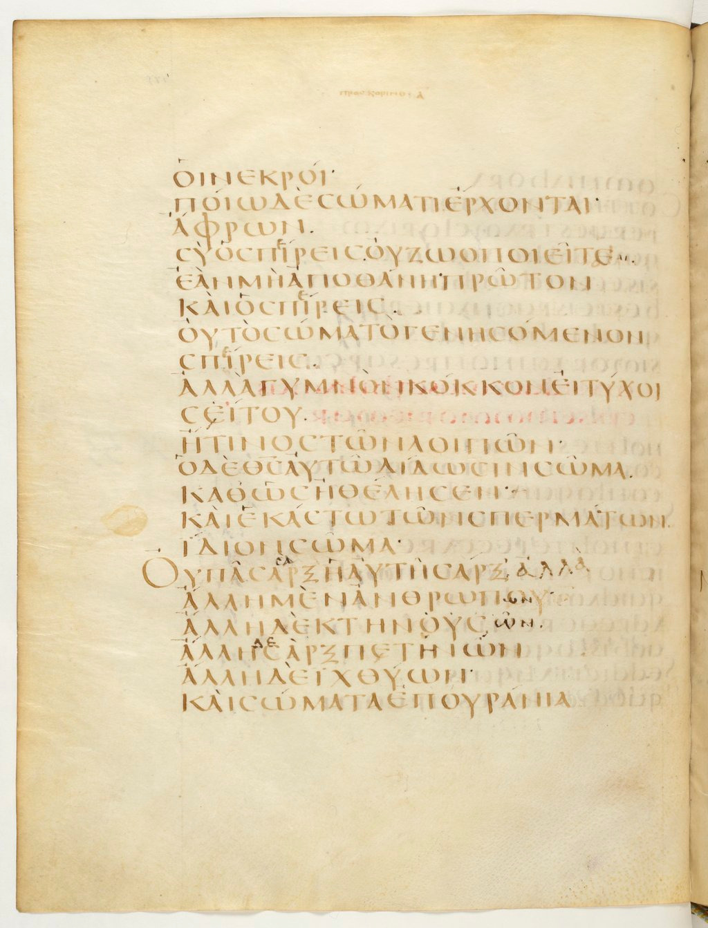 Codex Claromontanus (Scan 3) showing 1 Corinthians 15:35 from 5th / 6th Century found in Clermont-Ferrand, France, currently housed at Bibliothèque nationale de France, Paris