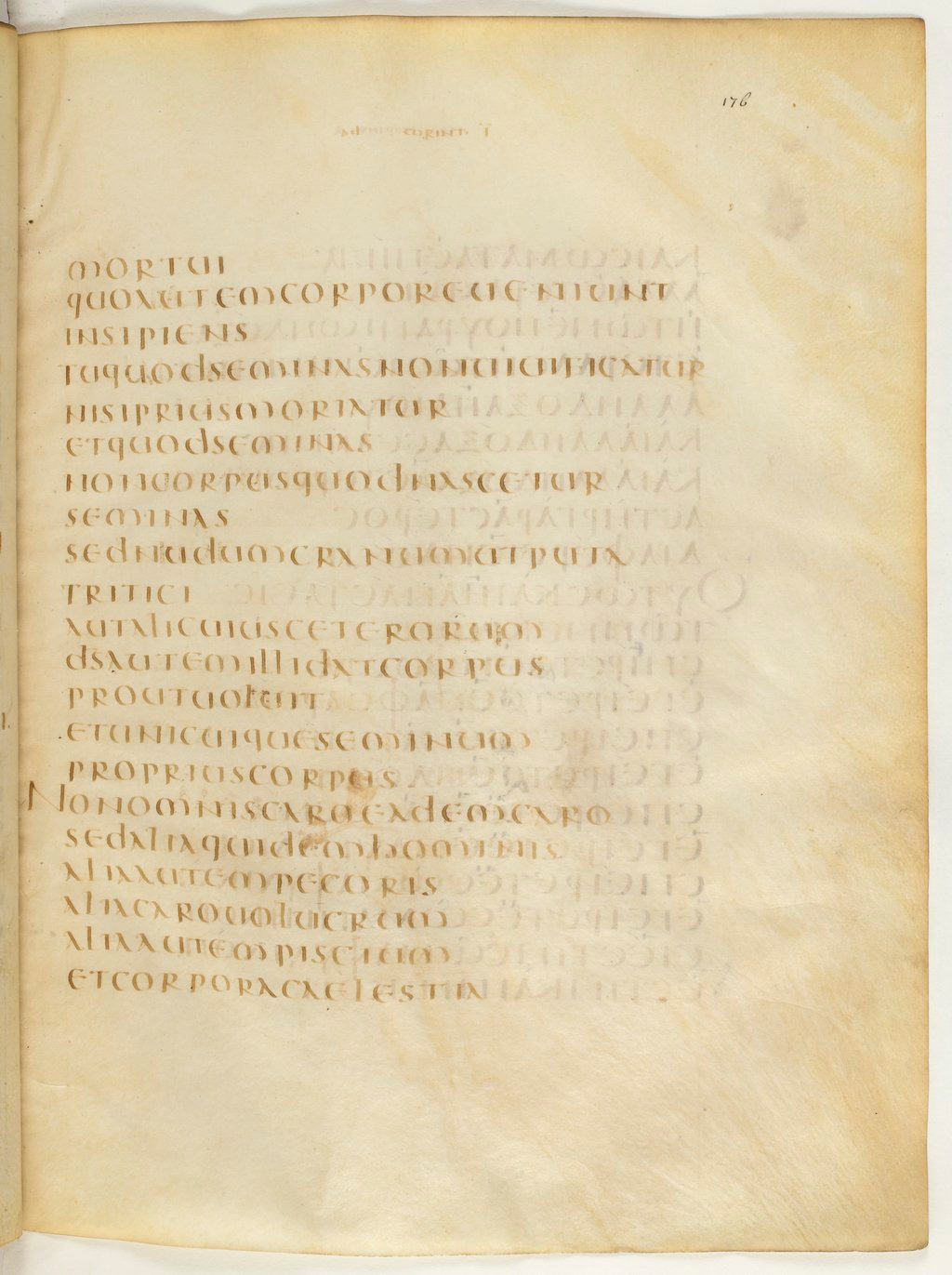 Codex Claromontanus (Scan 1) showing 1 Corinthians 15:41 from 5th / 6th Century found in Clermont-Ferrand, France, currently housed at Bibliothèque nationale de France, Paris